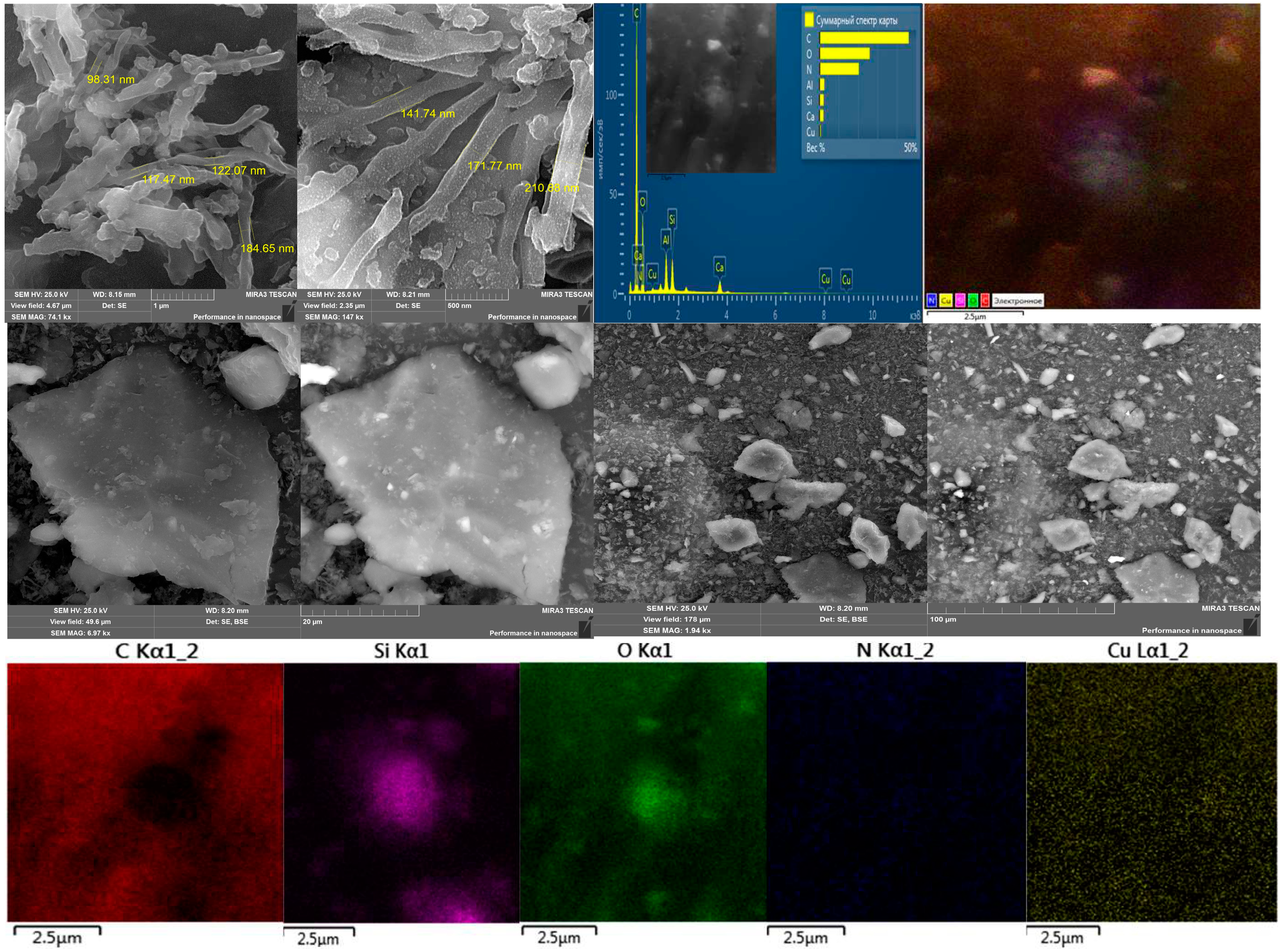 Polymers 15 01346 g005
