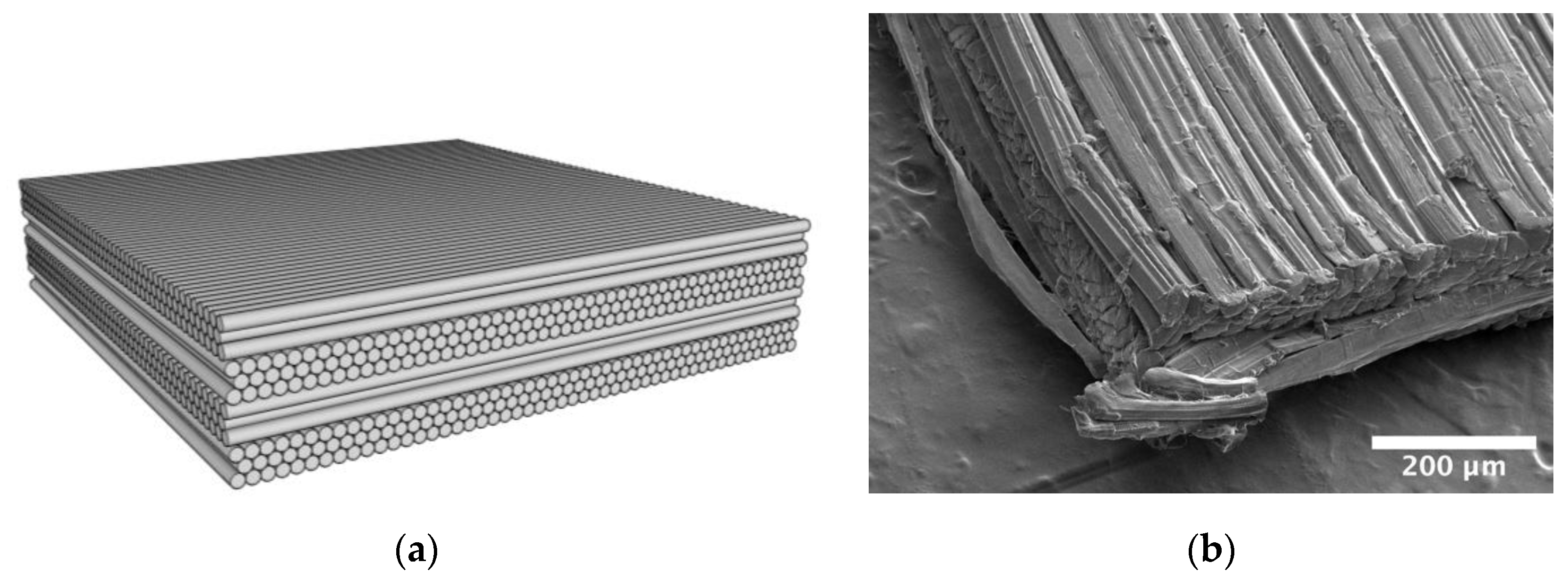 Polymers 15 01347 g001