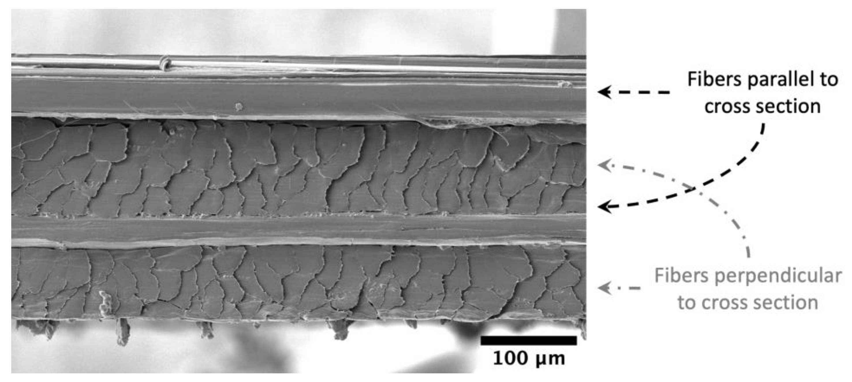 Polymers Free FullText Effect of Aging on Unidirectional Composite