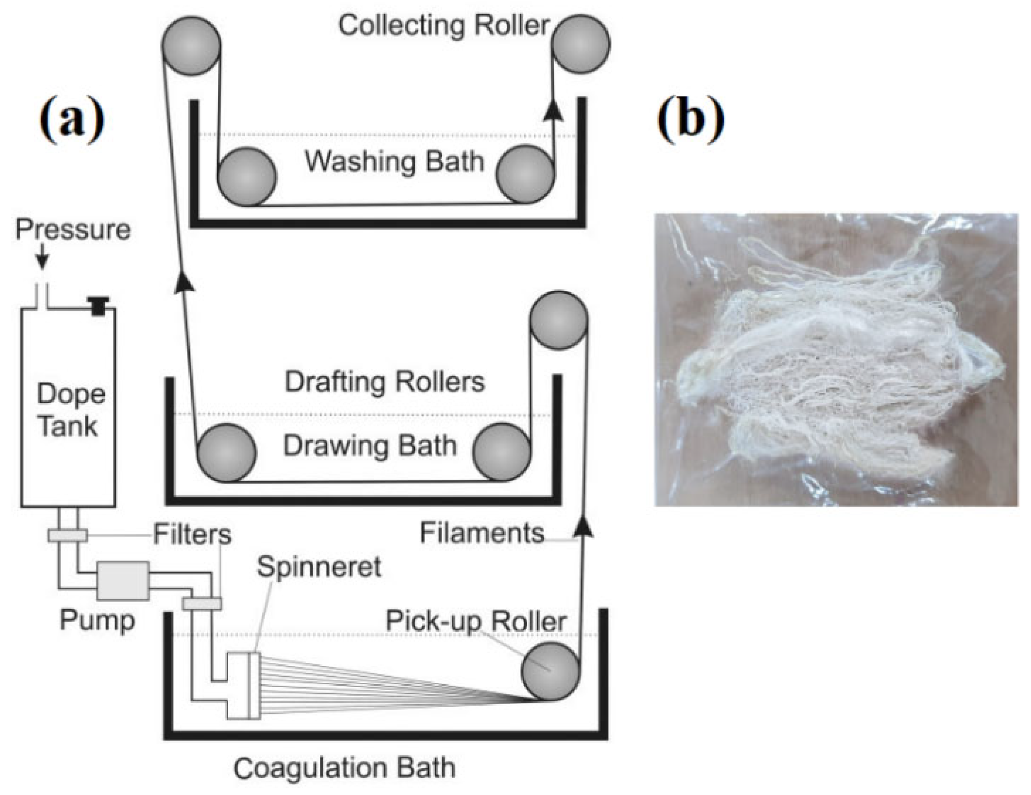 Polymers 15 01355 g001