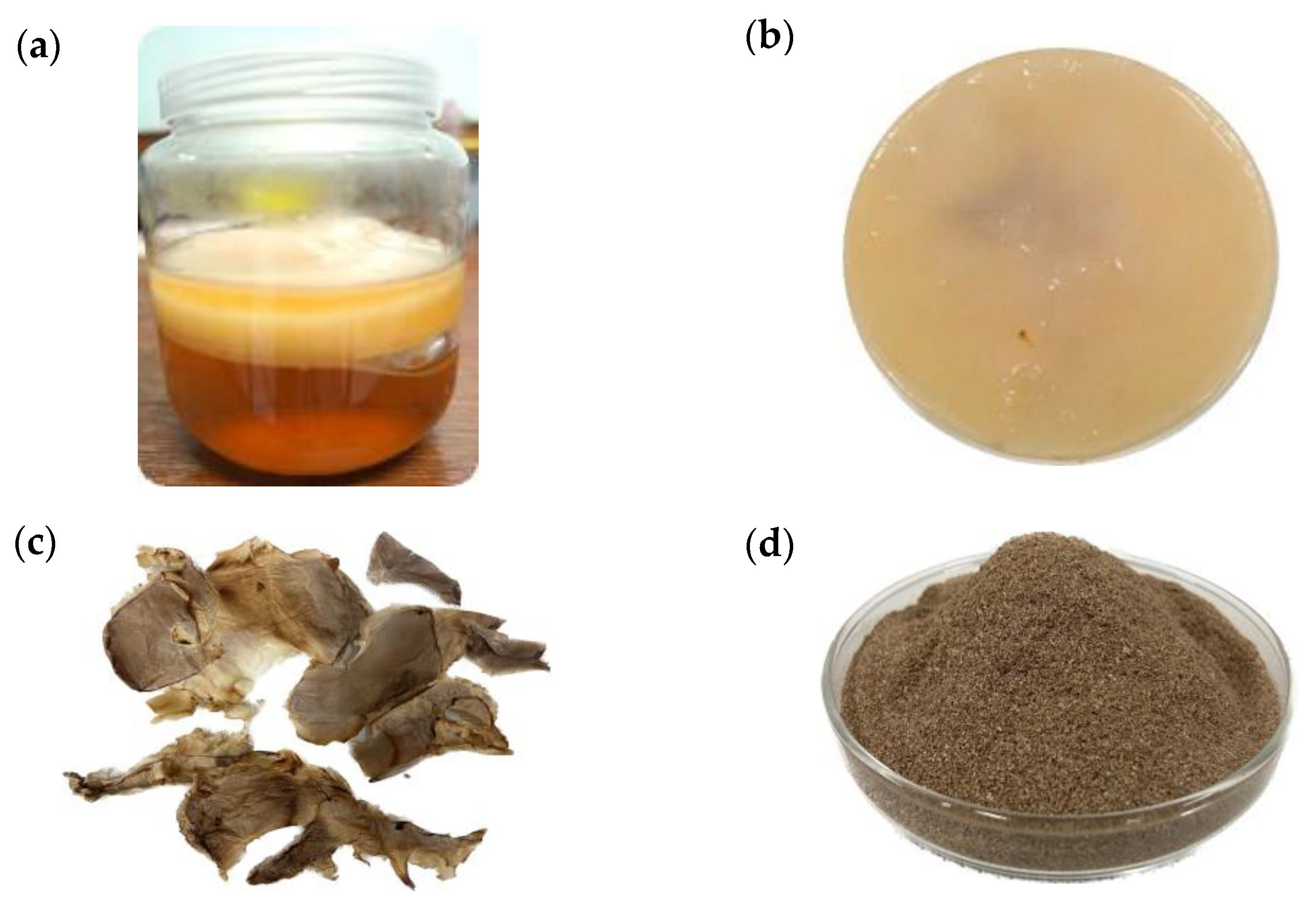 Polymers Free FullText Nanobacterial Cellulose from Kombucha Fermentation as a Potential