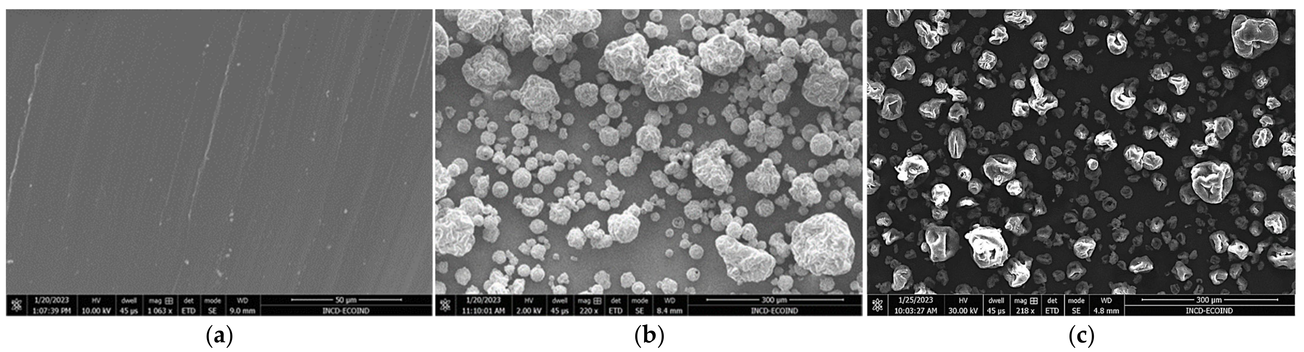 Polymers 15 01357 g003 Polymers 15 01357 g003