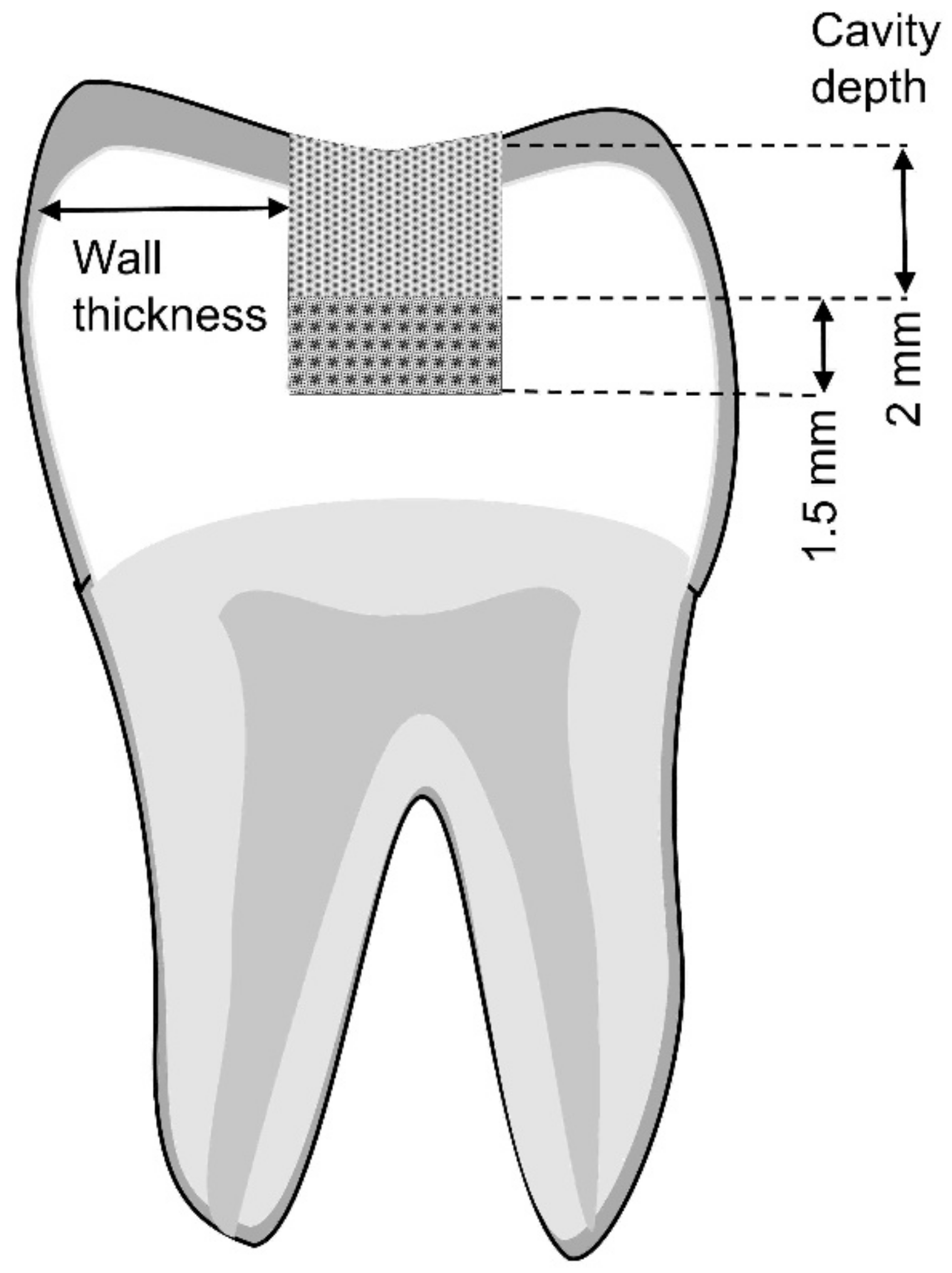 Polymers 15 01358 g001 Polymers 15 01358 g001