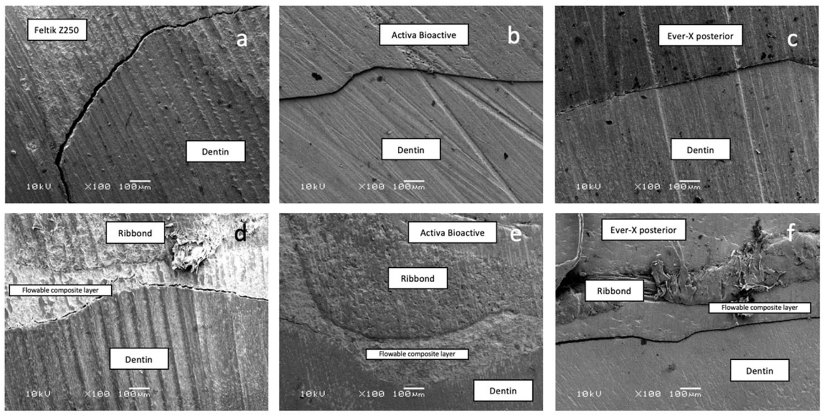 Polymers 15 01358 g006 Polymers 15 01358 g006