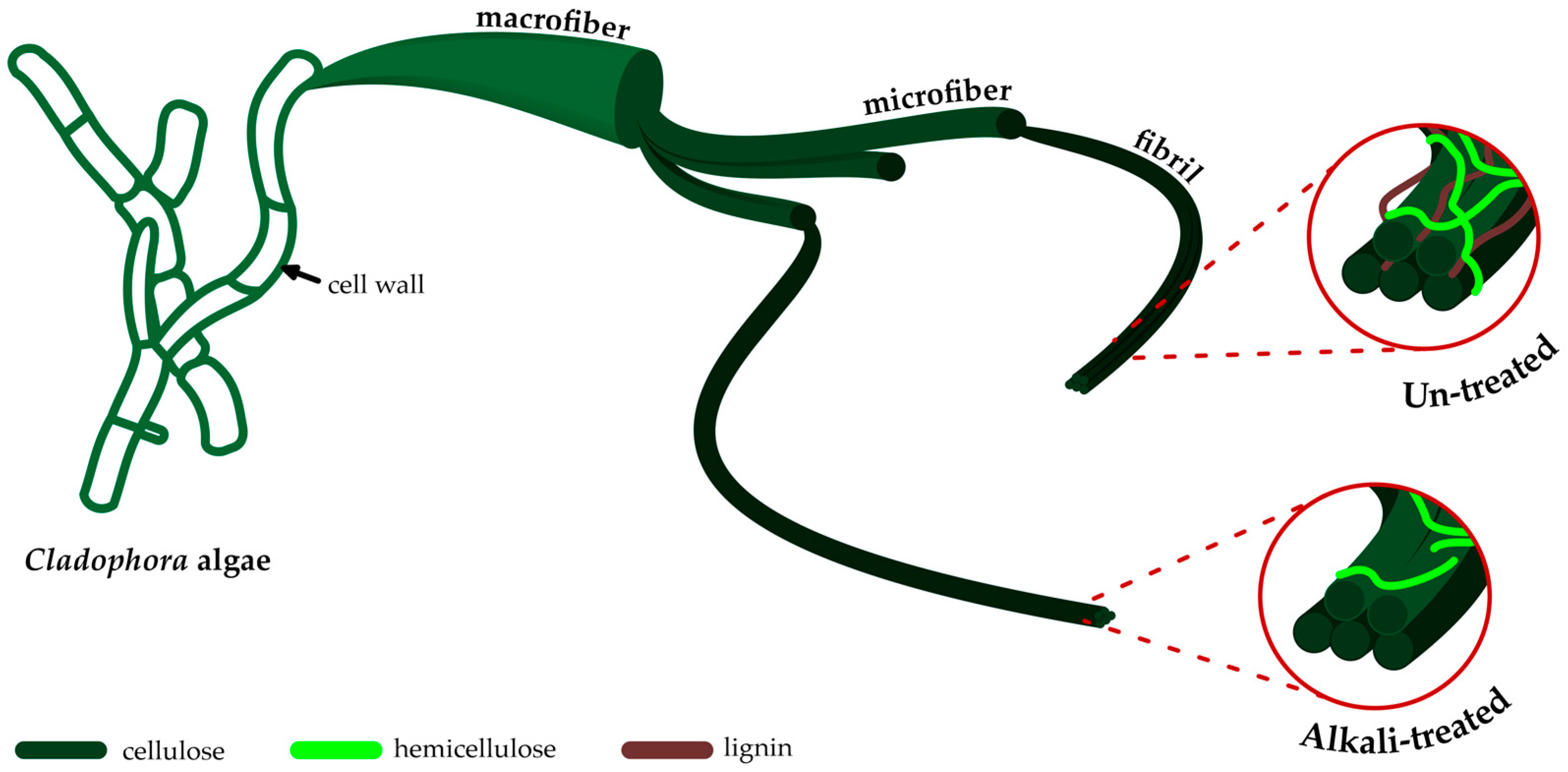 Polymers 15 01359 g001