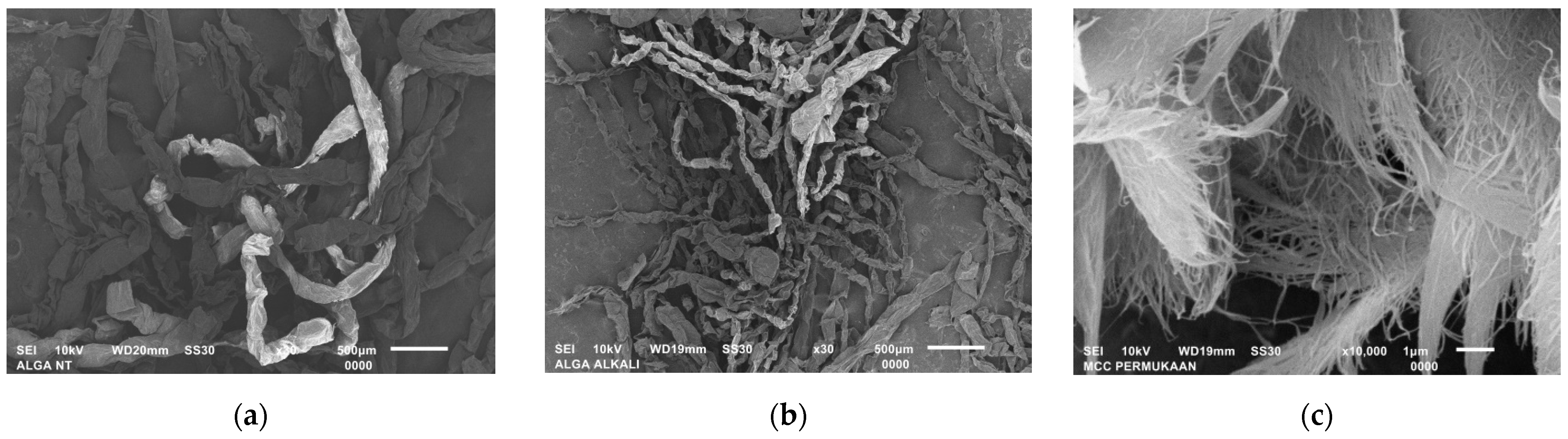 Polymers 15 01359 g005