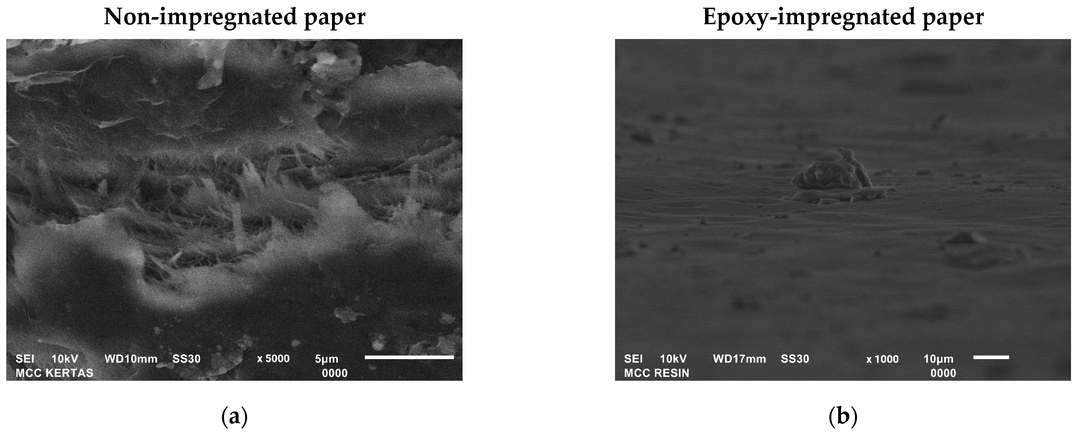 Polymers 15 01359 g012a