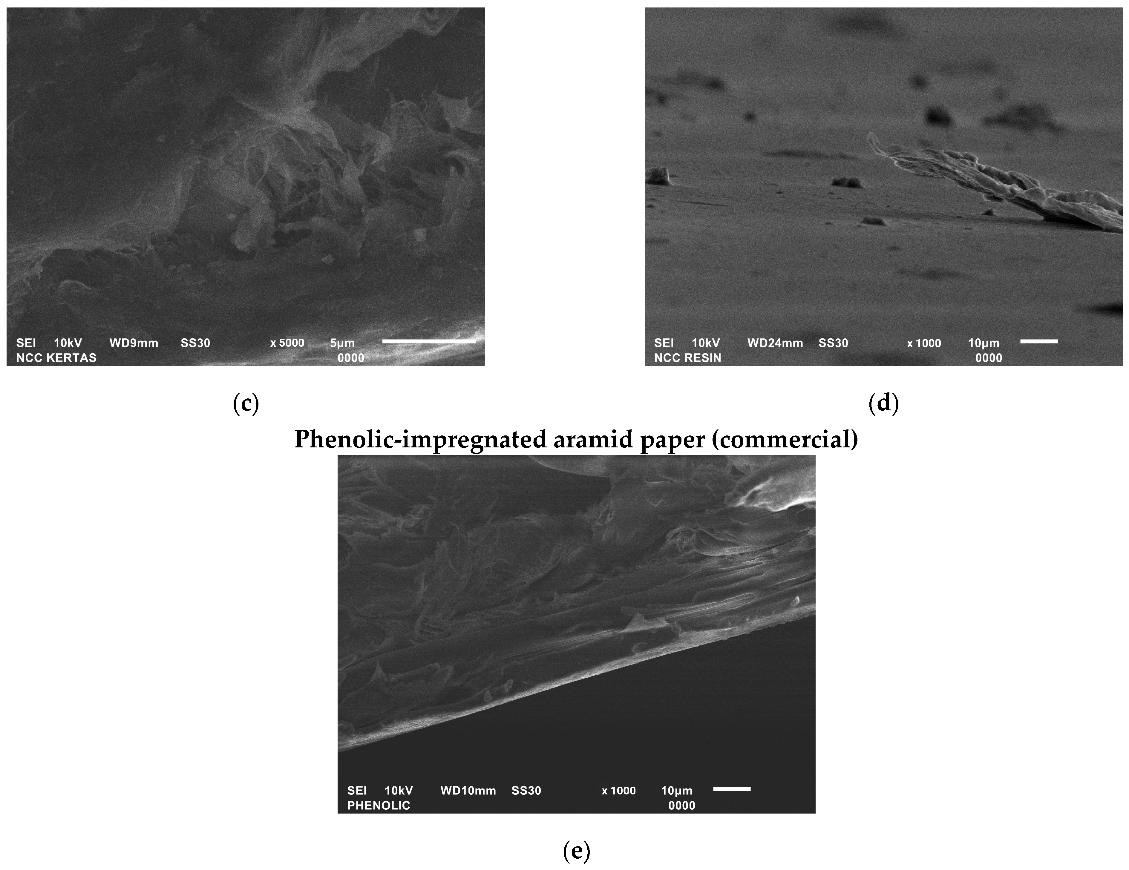Polymers 15 01359 g012b