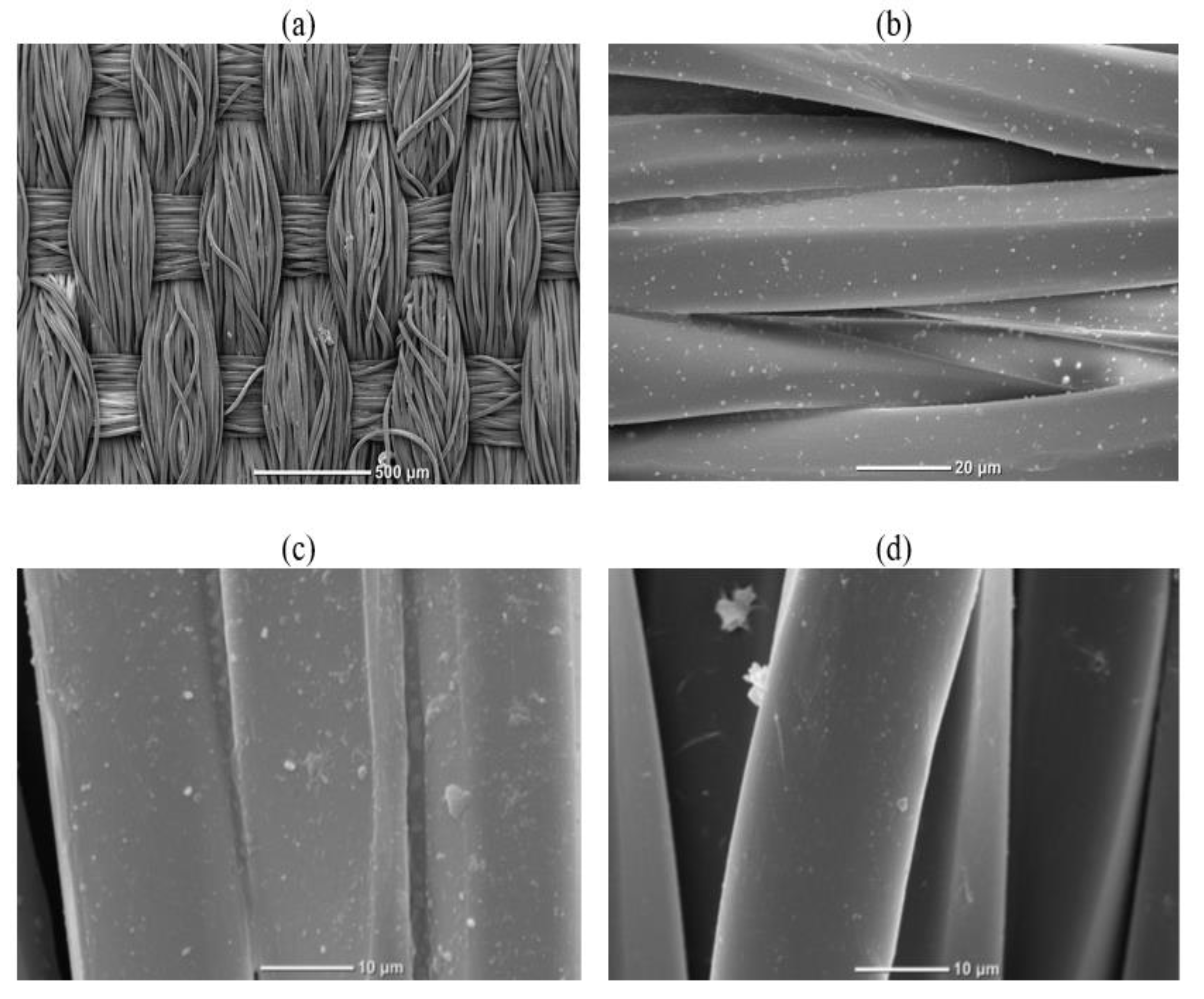 Polymers 15 01362 g003 Polymers 15 01362 g003