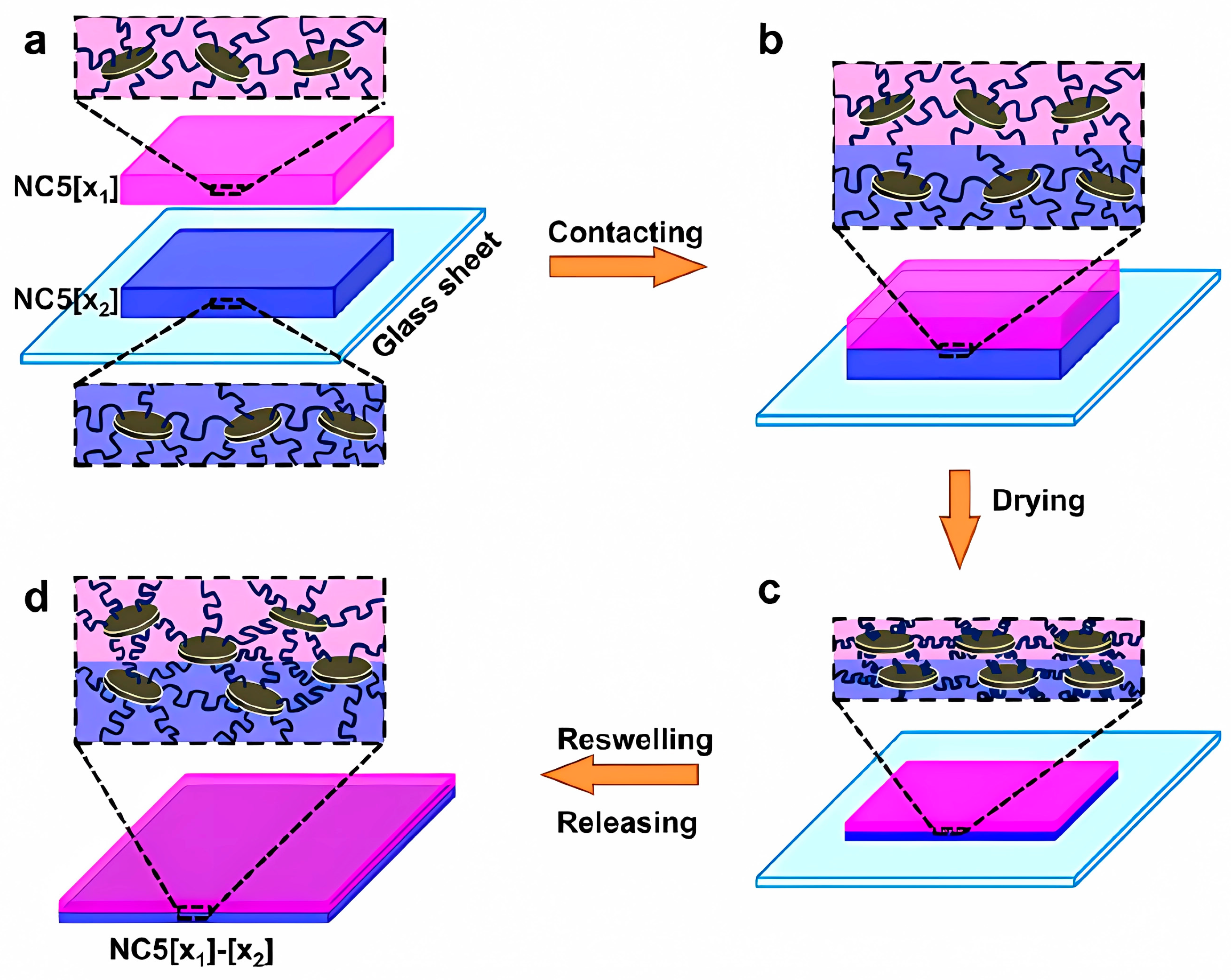 Polymers 15 01365 g003