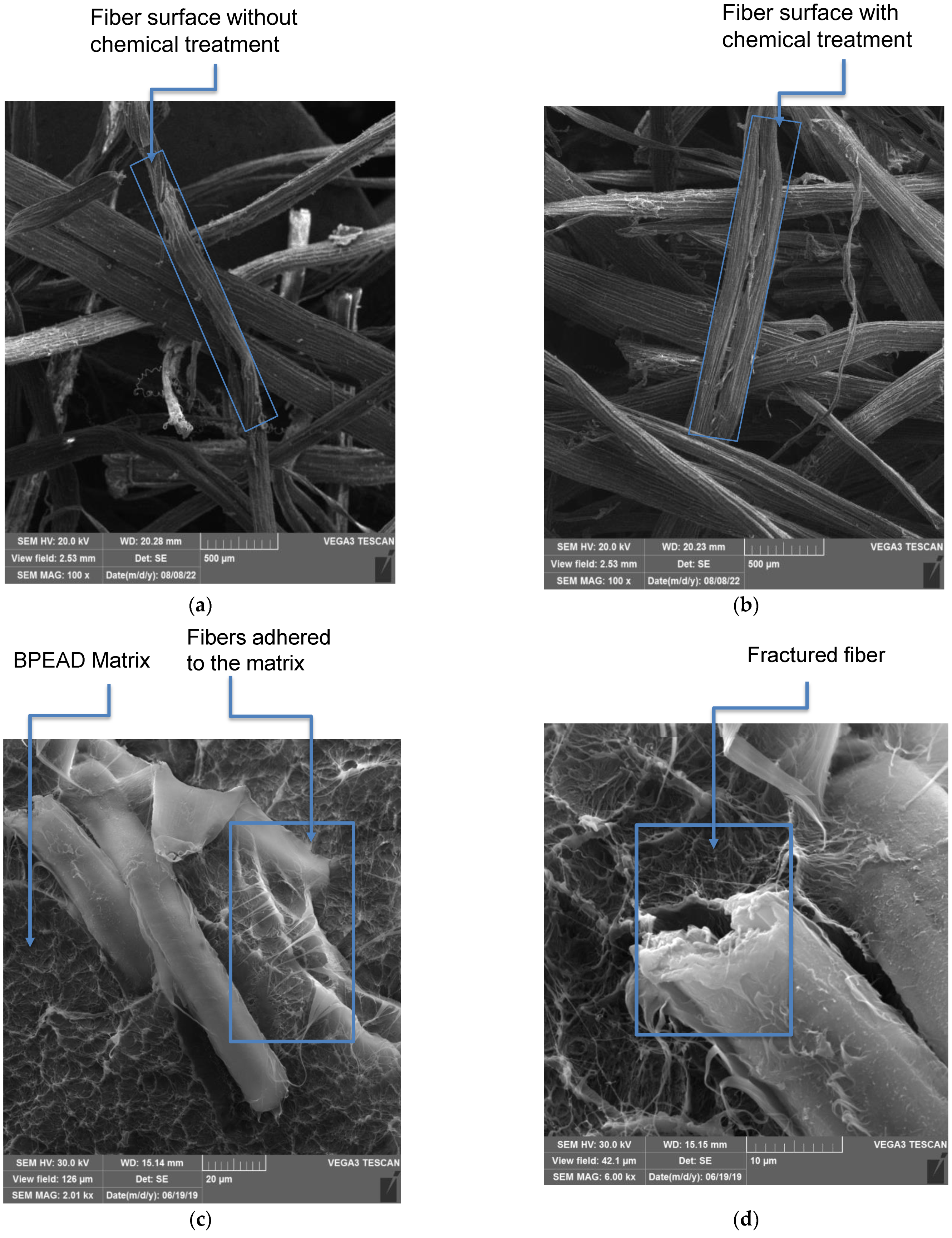 Polymers 15 01369 g006 Polymers 15 01369 g006