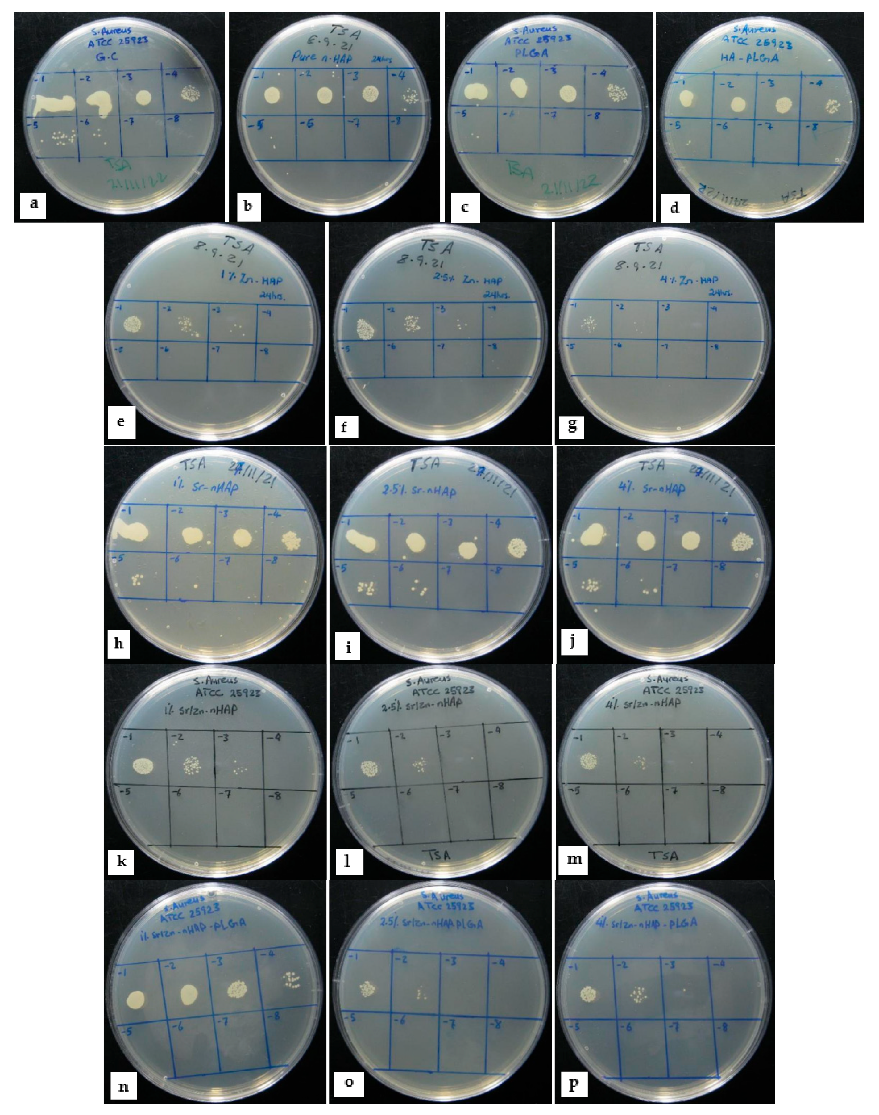 Polymers 15 01370 g003 Polymers 15 01370 g003