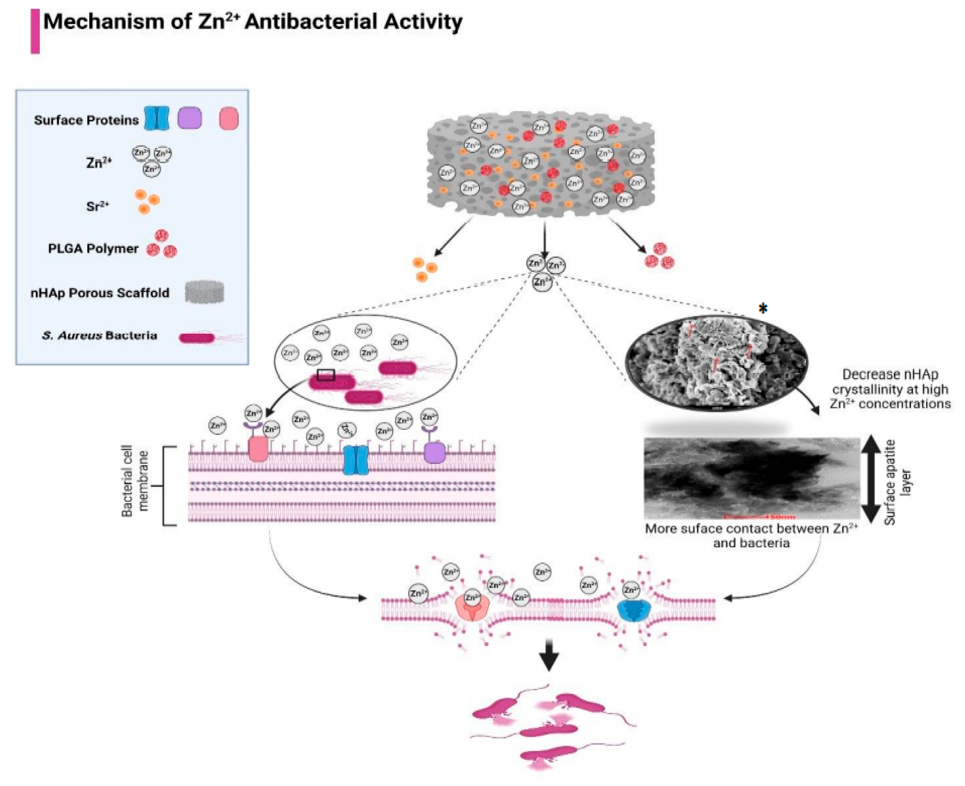 Polymers 15 01370 g005 Polymers 15 01370 g005