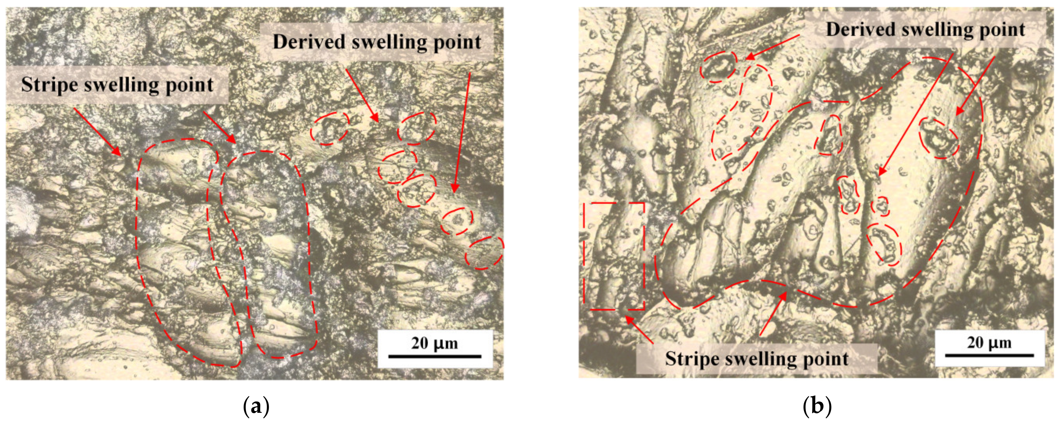 Polymers 15 01375 g002 550