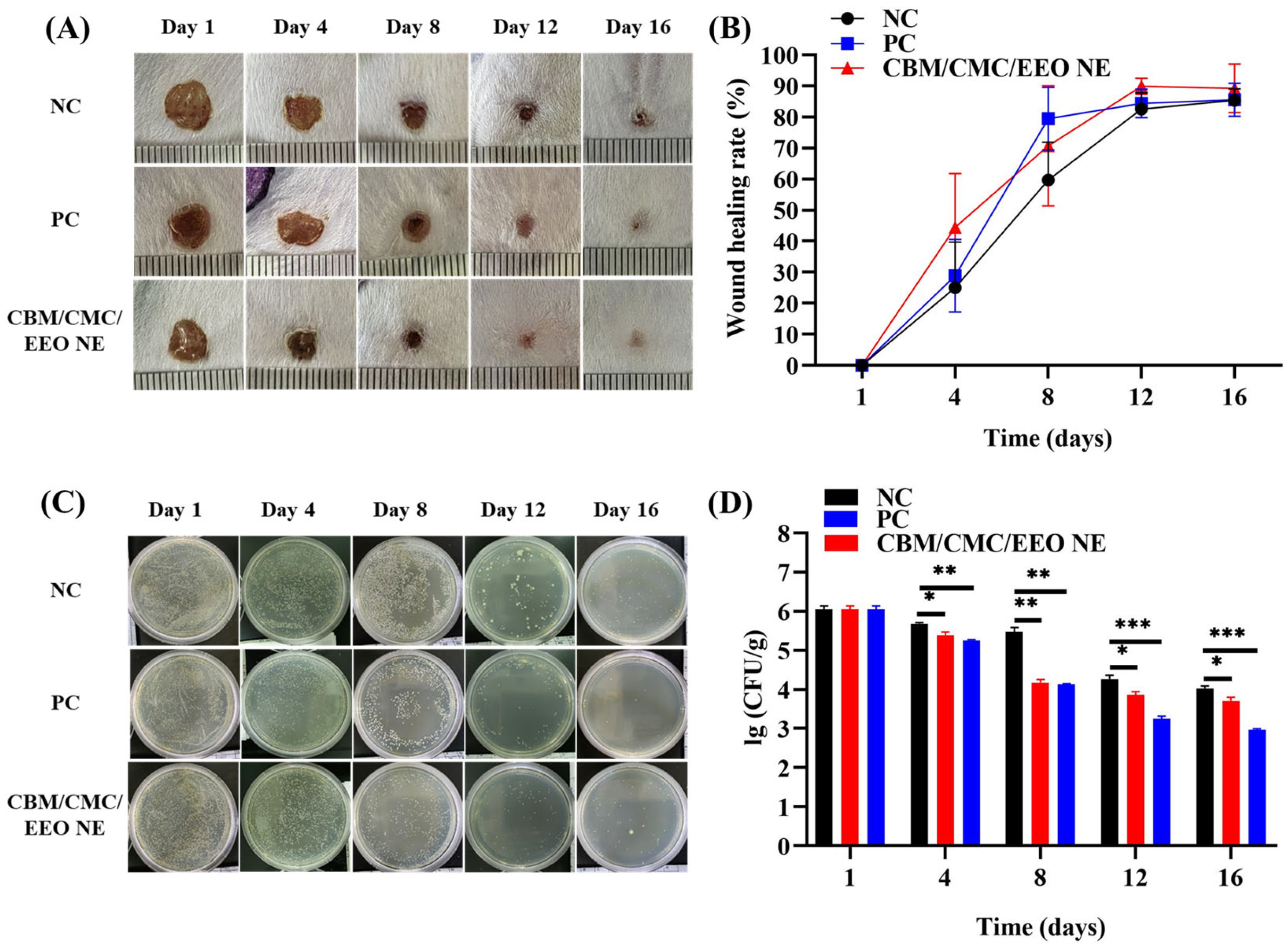 Polymers 15 01376 g005