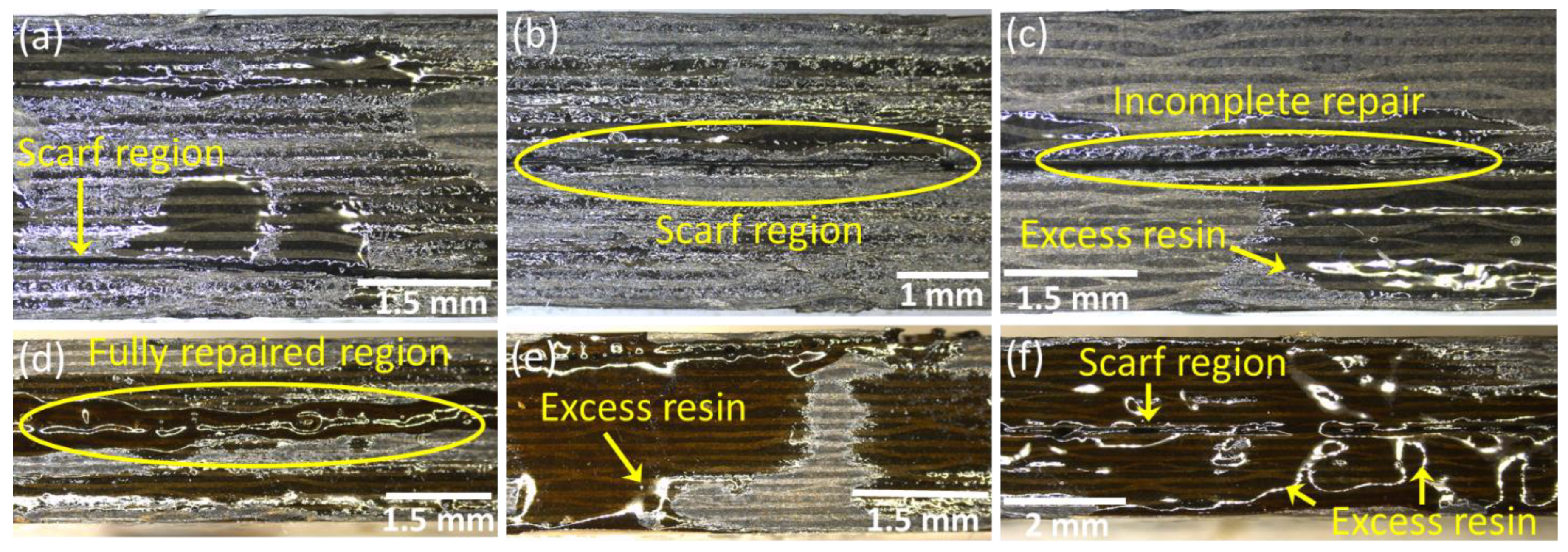 Polymers 15 01377 g005