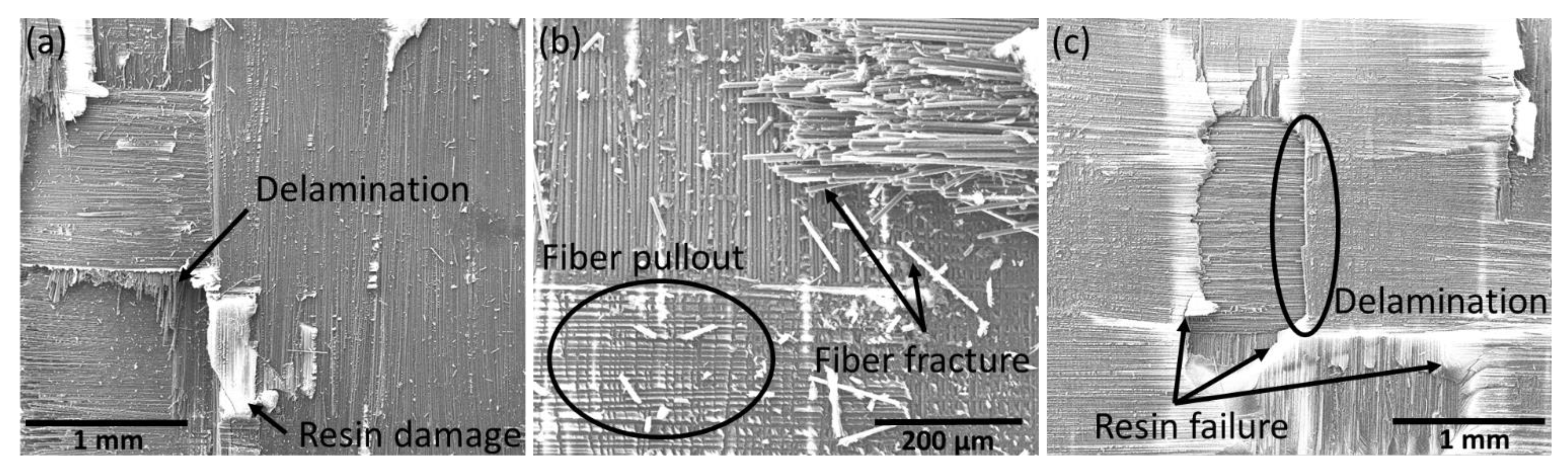 Polymers 15 01377 g010
