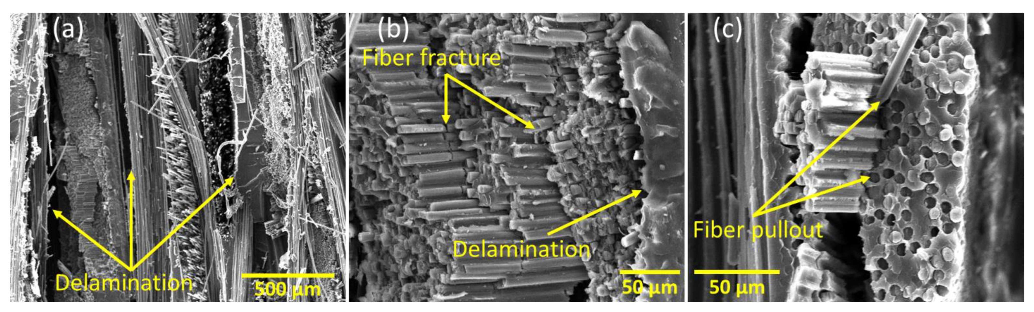 Polymers 15 01377 g012
