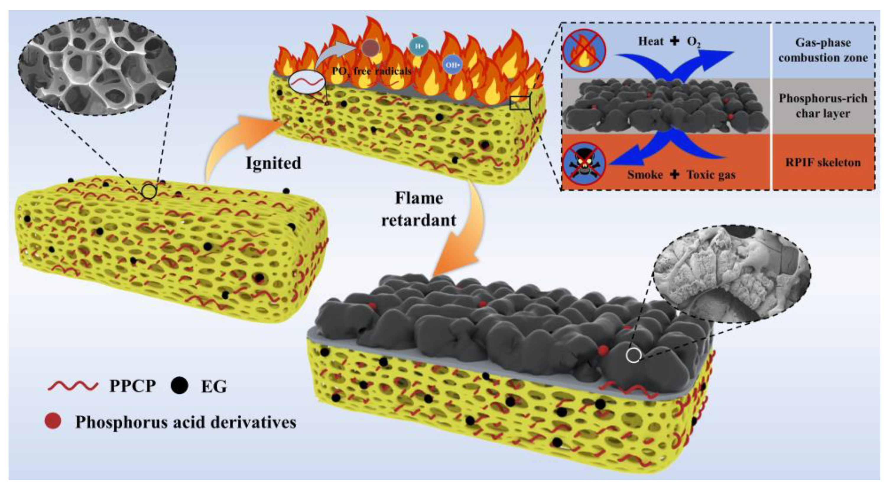 Polymers 15 01381 g015