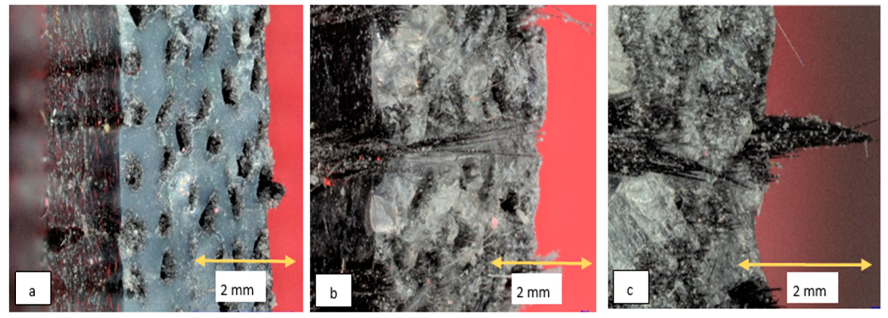 Polymers 15 01384 g007