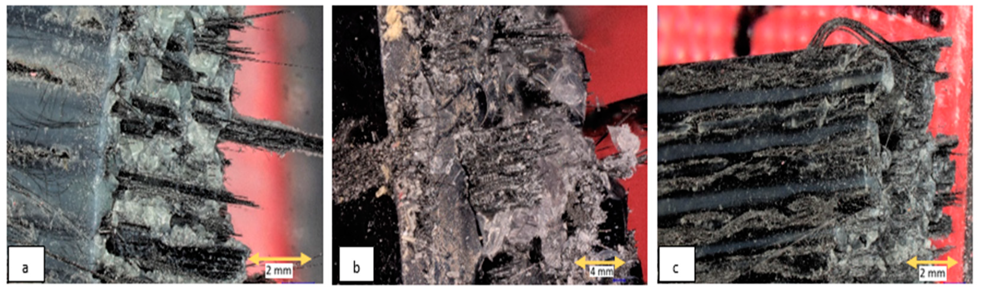 Polymers 15 01384 g012