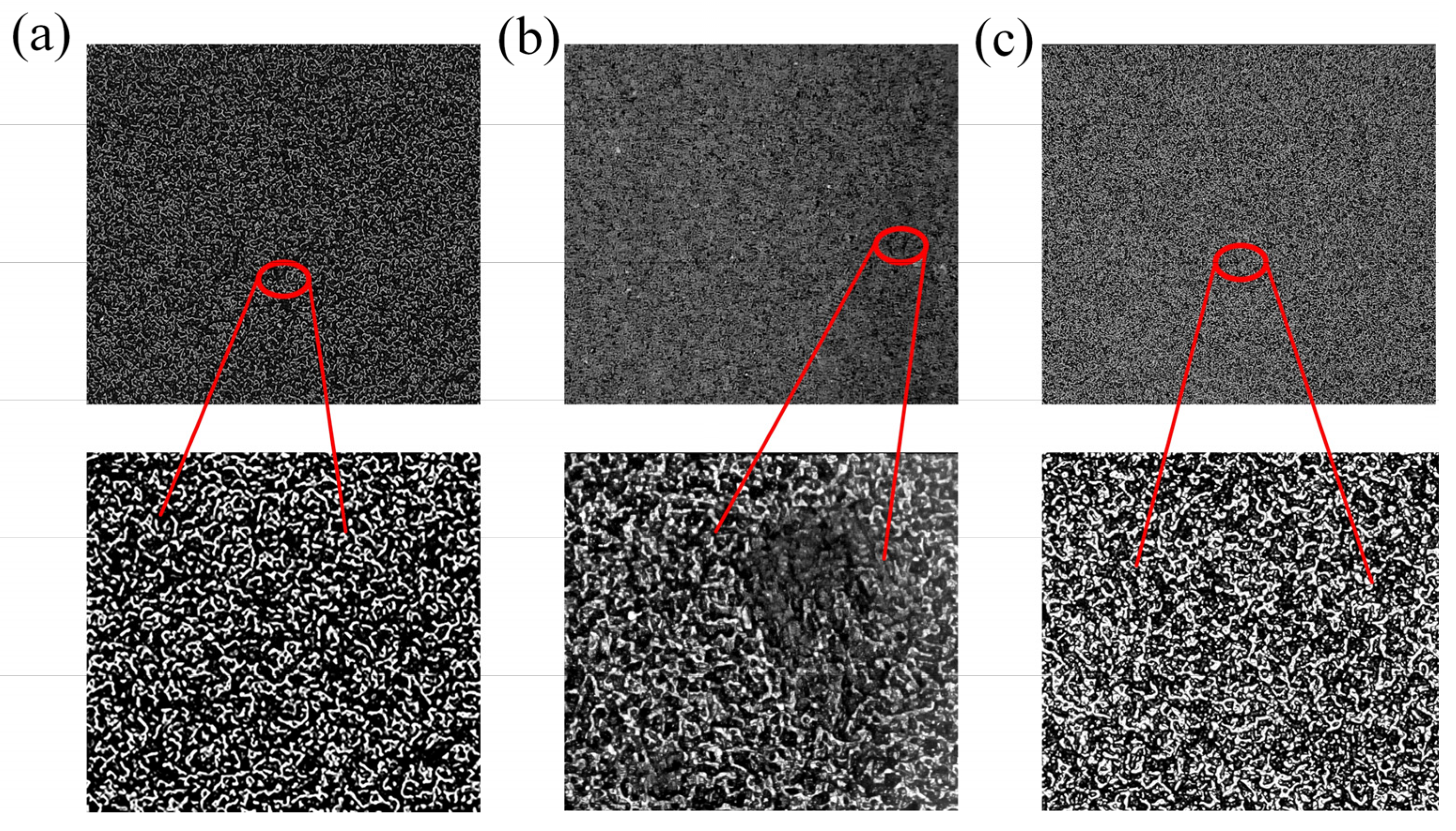 Polymers 15 01386 g005