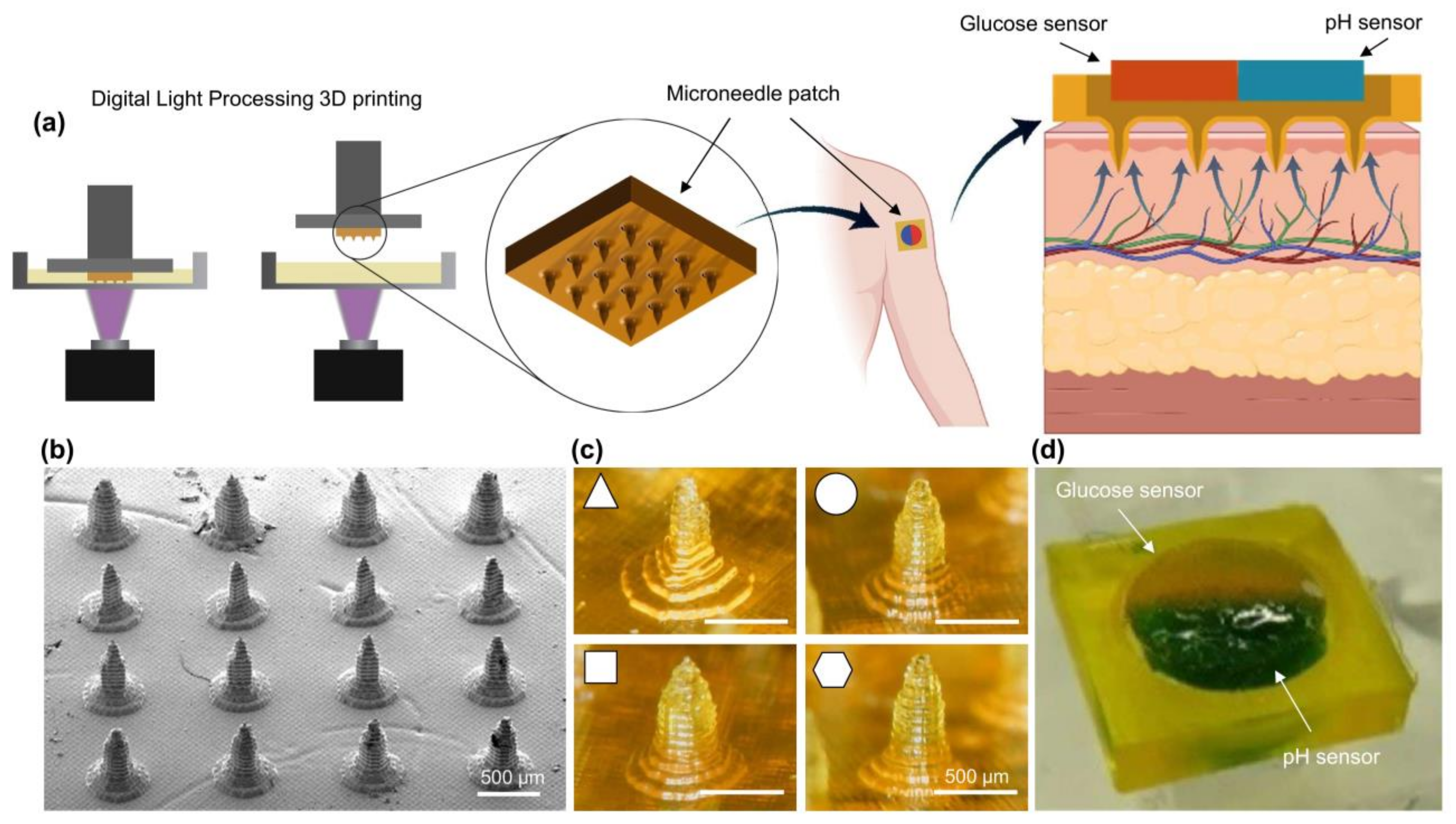 Polymers 15 01389 g001