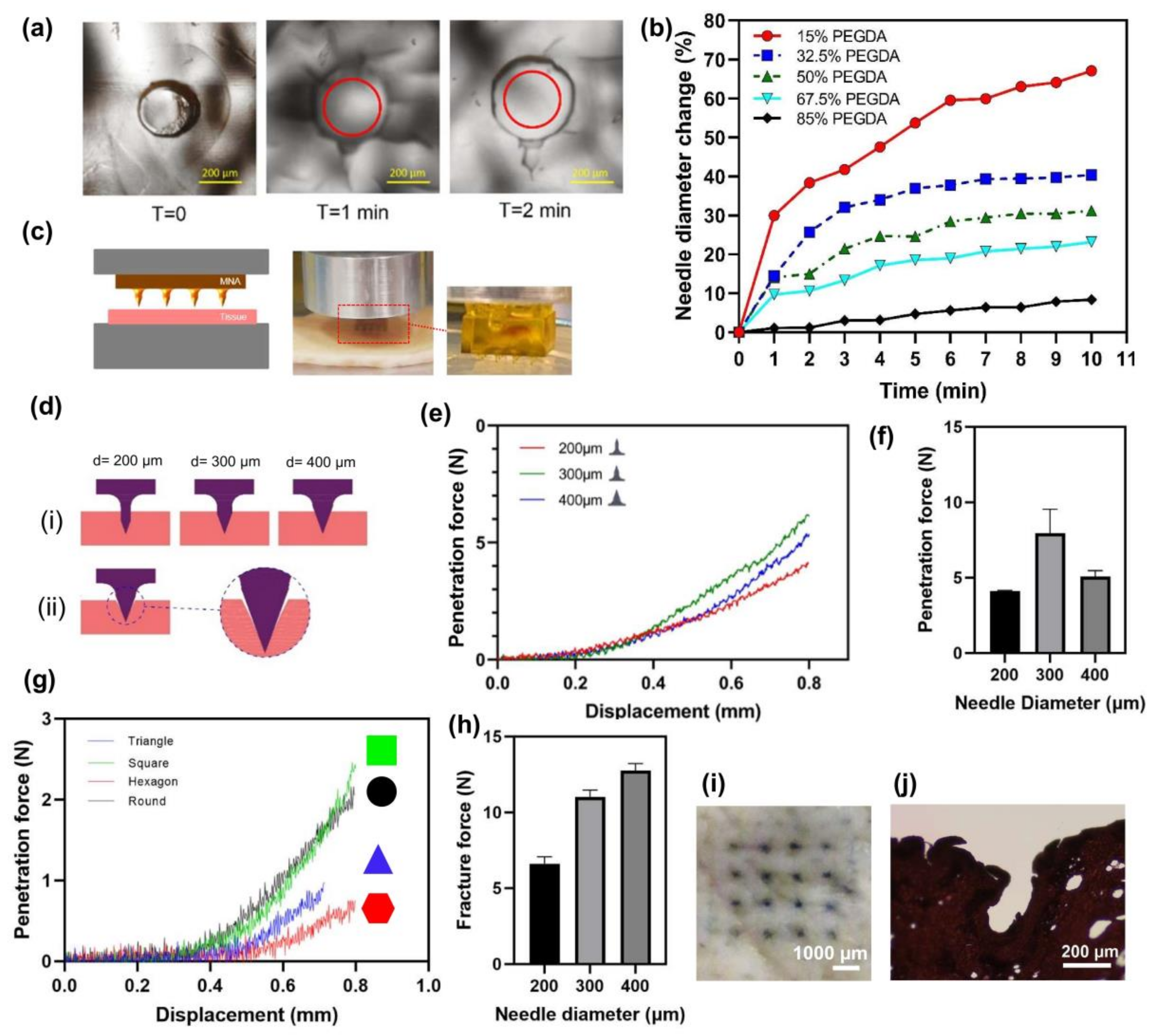 Polymers 15 01389 g004