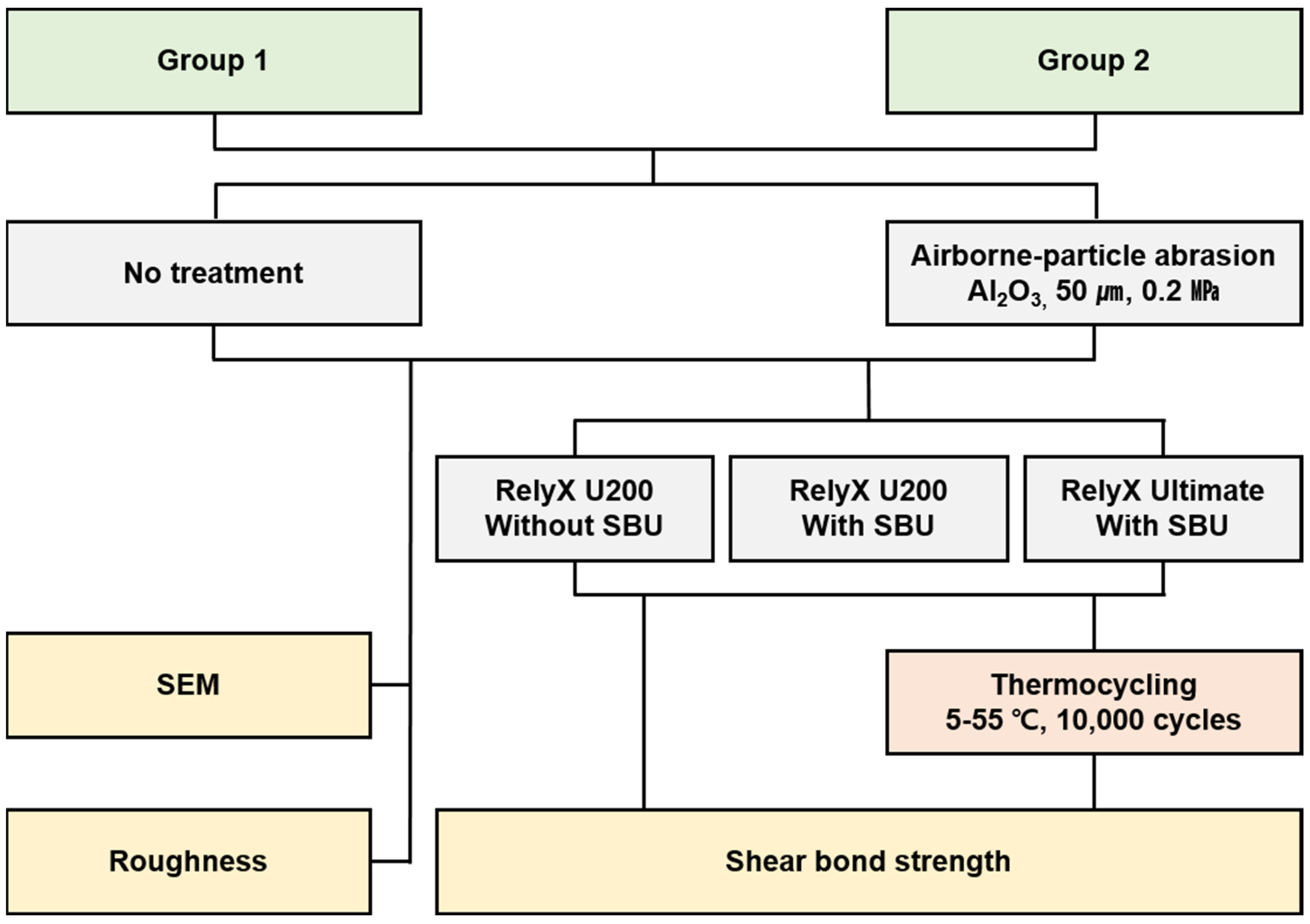 Polymers 15 01390 g001