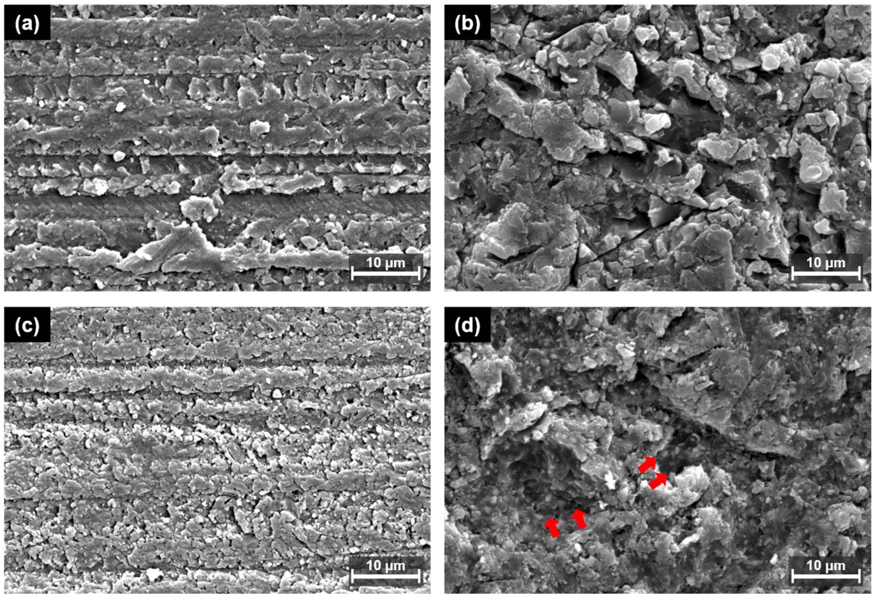 Polymers 15 01390 g007