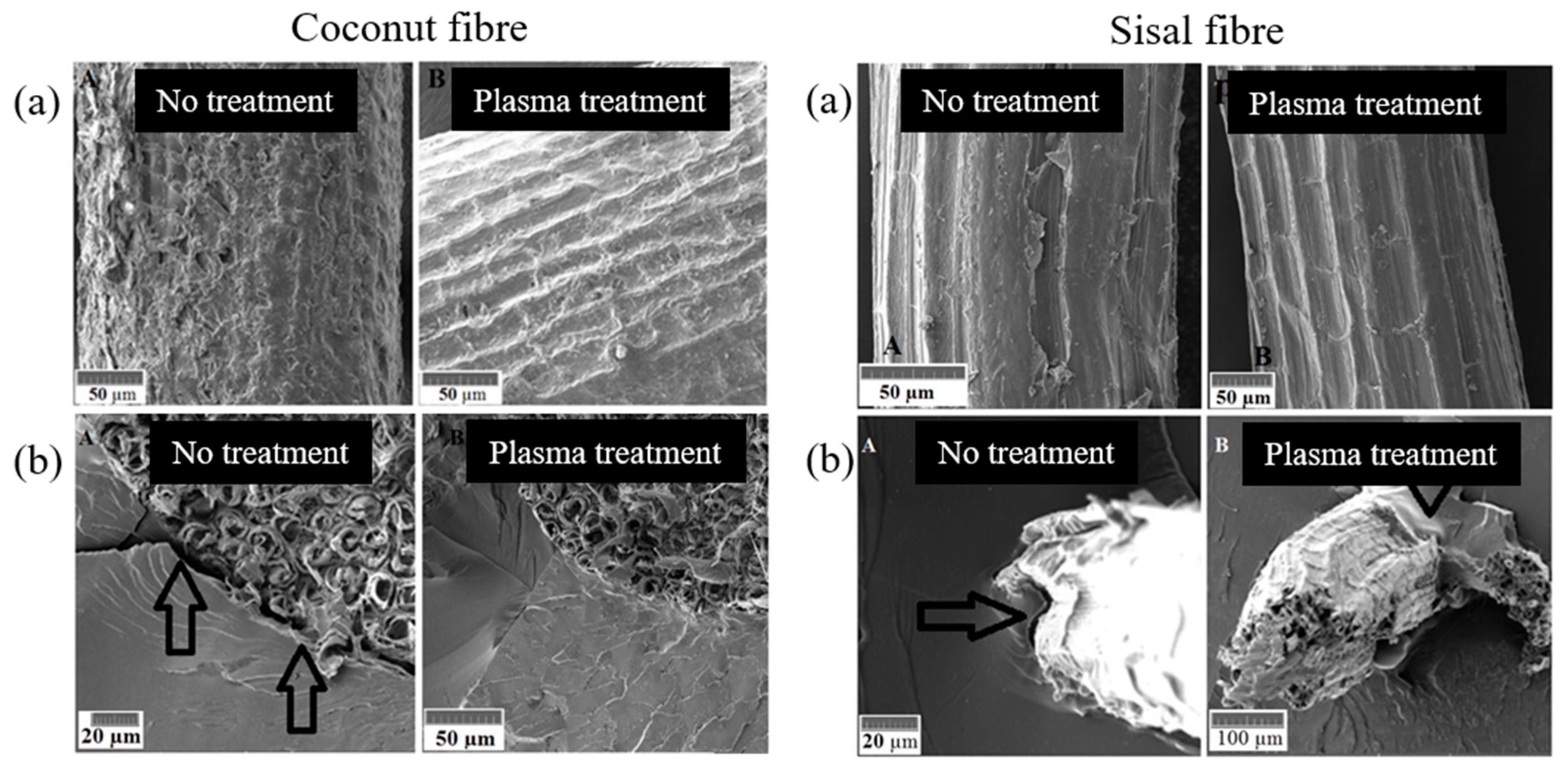 Polymers 15 01393 g004 Polymers 15 01393 g004