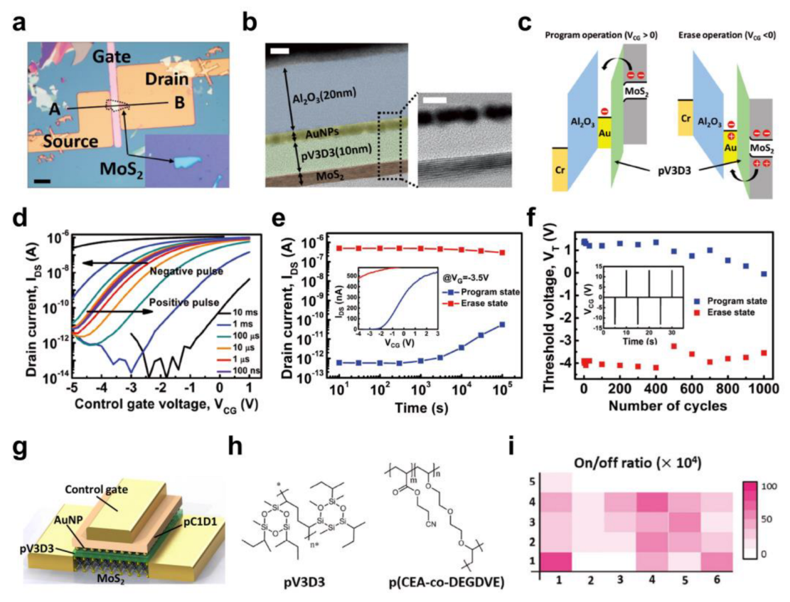 Polymers 15 01395 g005