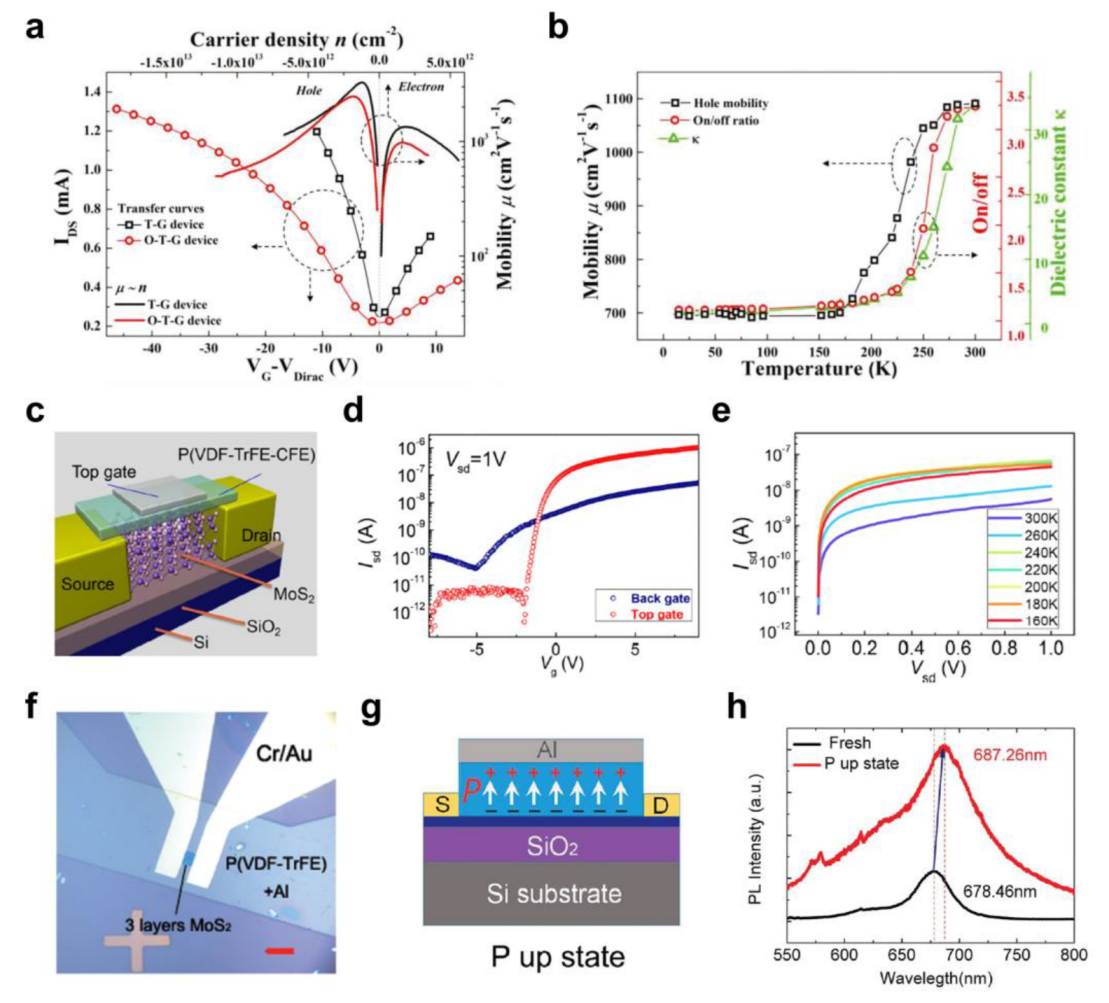 Polymers 15 01395 g006