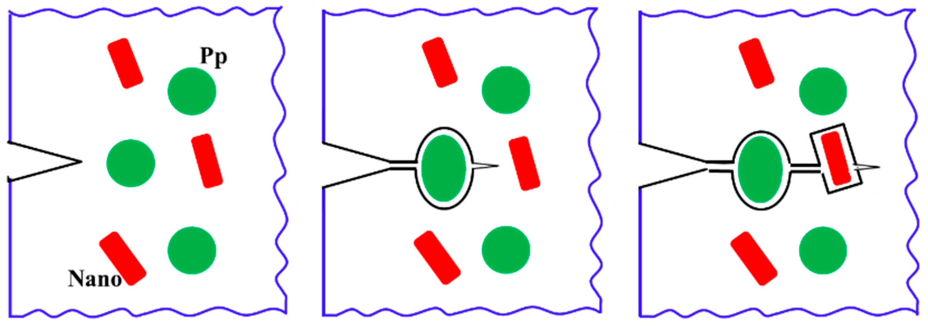 Polymers 15 01398 sch008