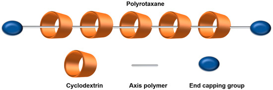 Cyclodextrin-Based Polymeric Drug Delivery Systems for