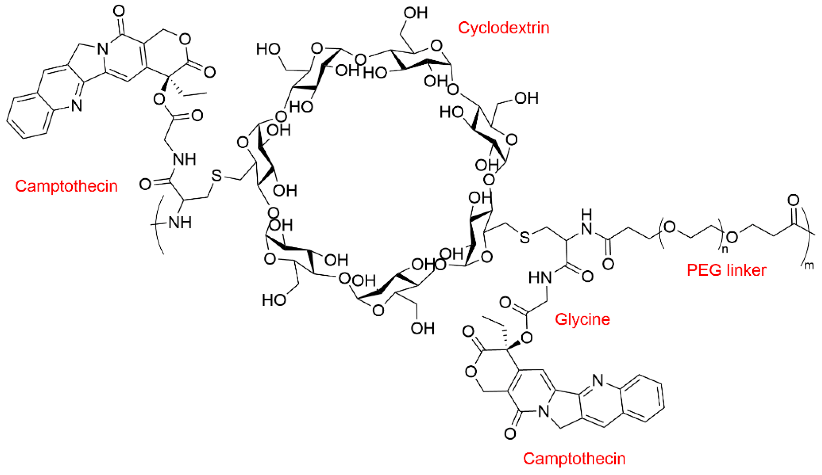 Cyclodextrin-Based Polymeric Drug Delivery Systems for