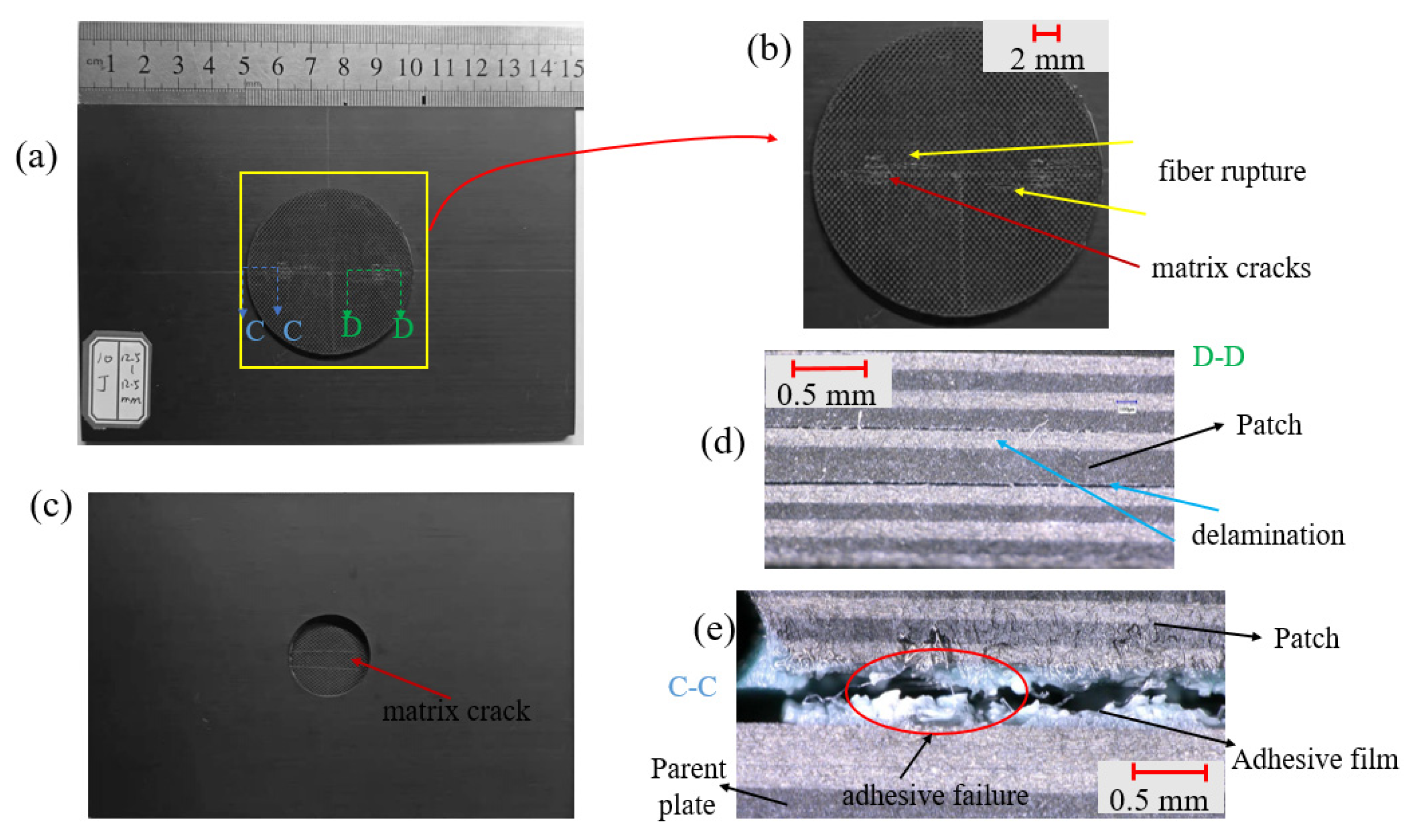 Polymers 15 01403 g009 Polymers 15 01403 g009