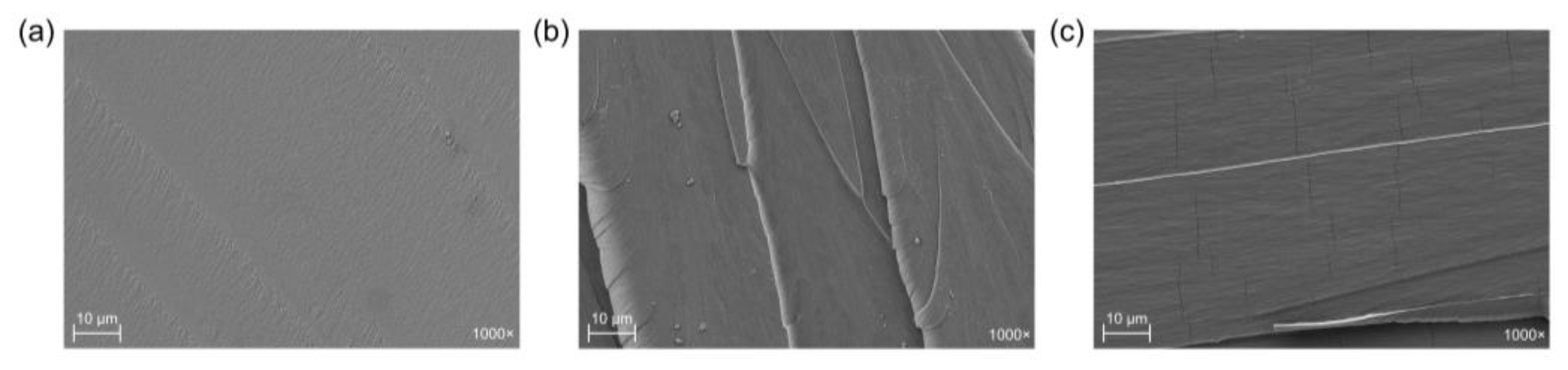 Polymers 15 01404 g011 Polymers 15 01404 g011