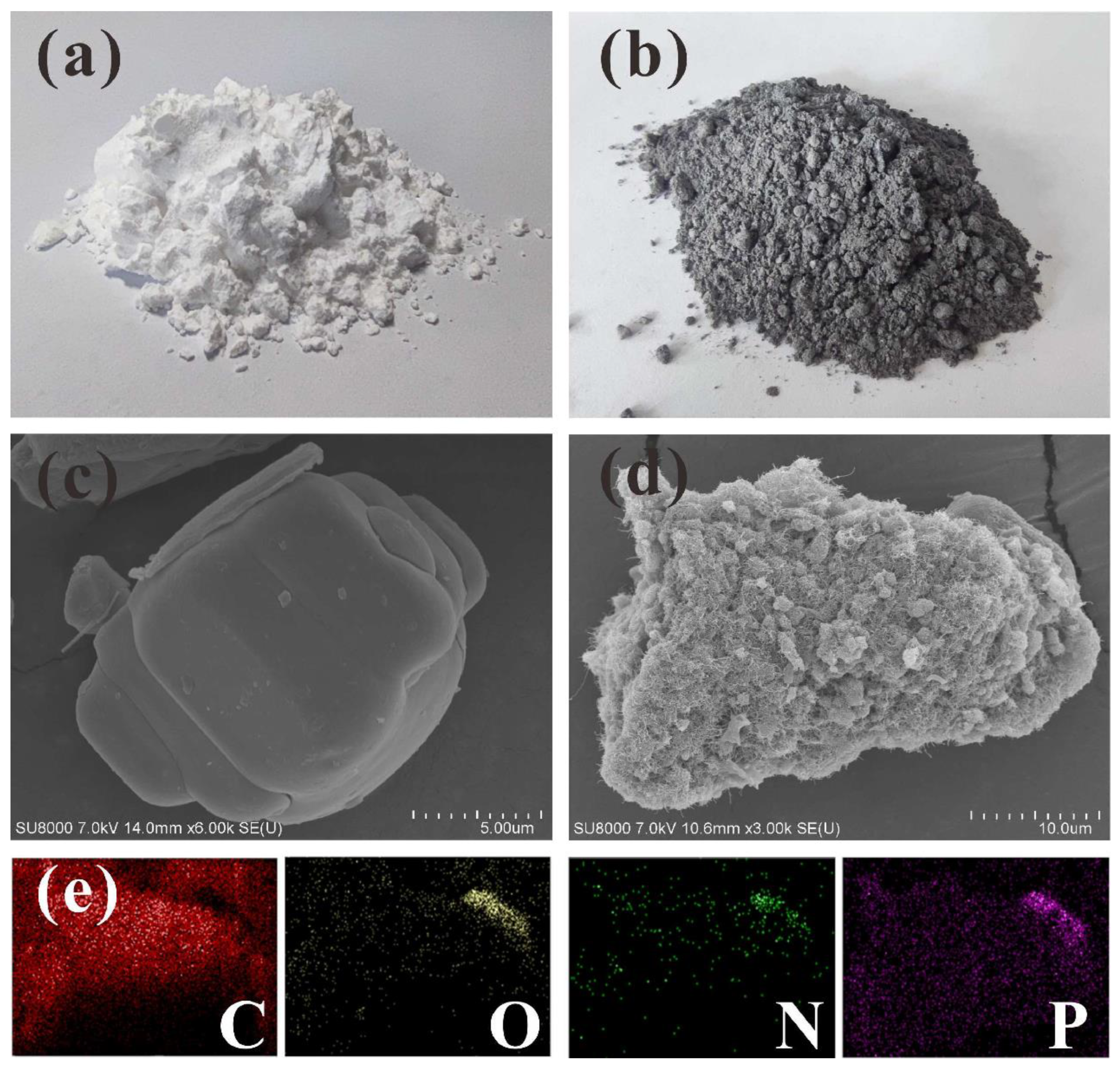 Polymers 15 01406 g002 Polymers 15 01406 g002