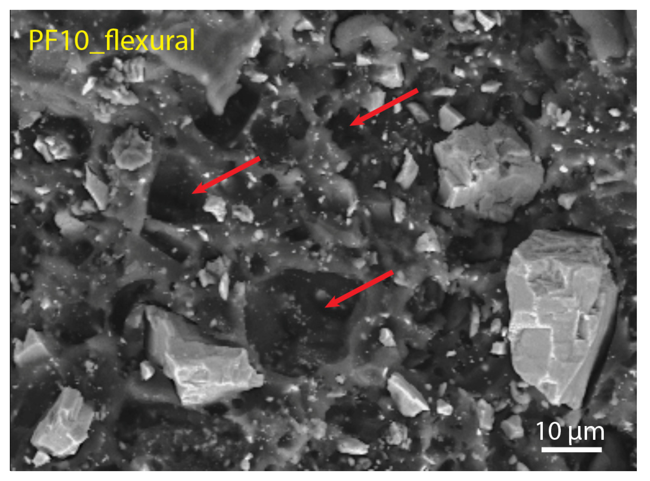 Polymers 15 01410 g009