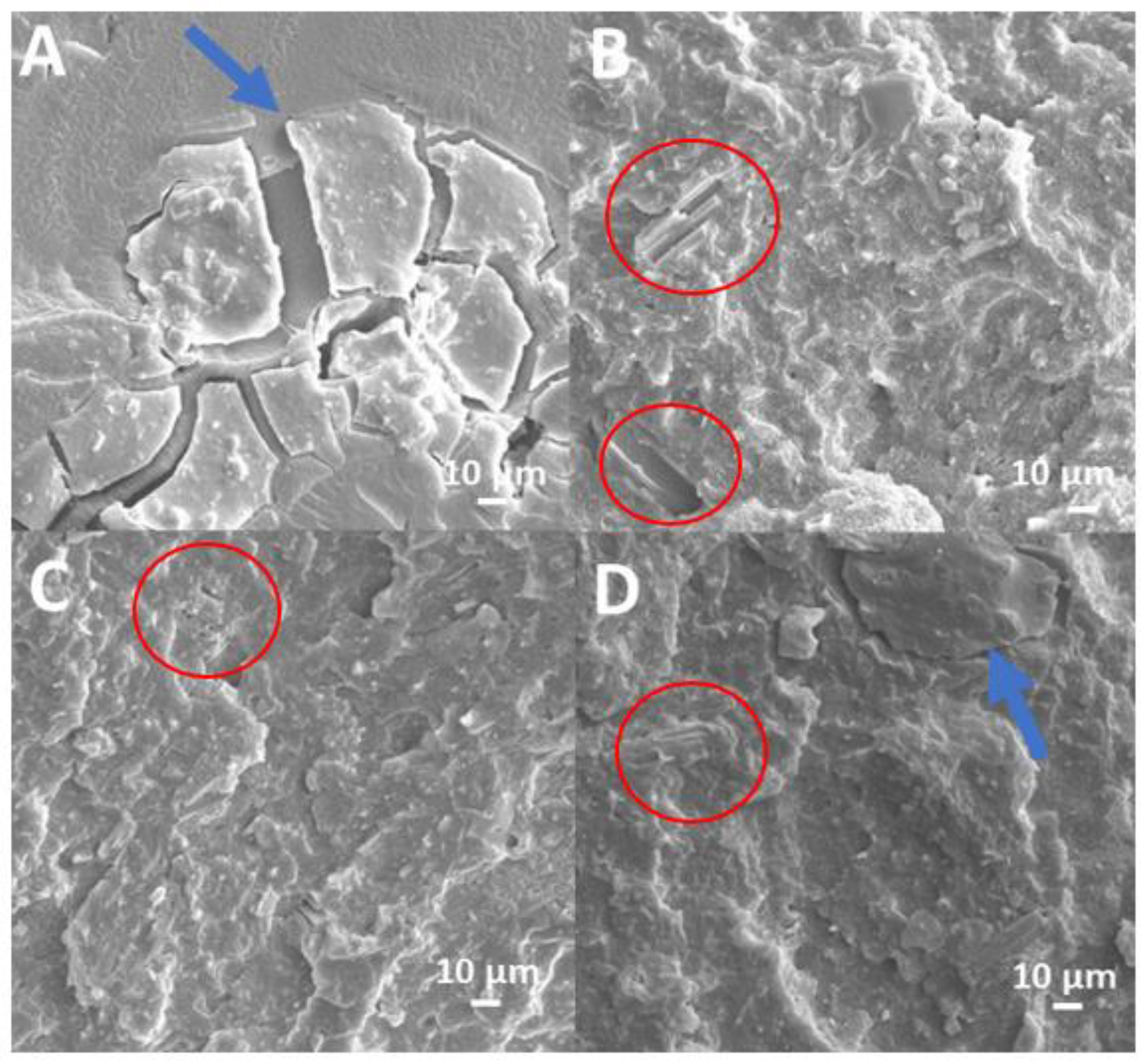 Polymers 15 01411 g003 Polymers 15 01411 g003