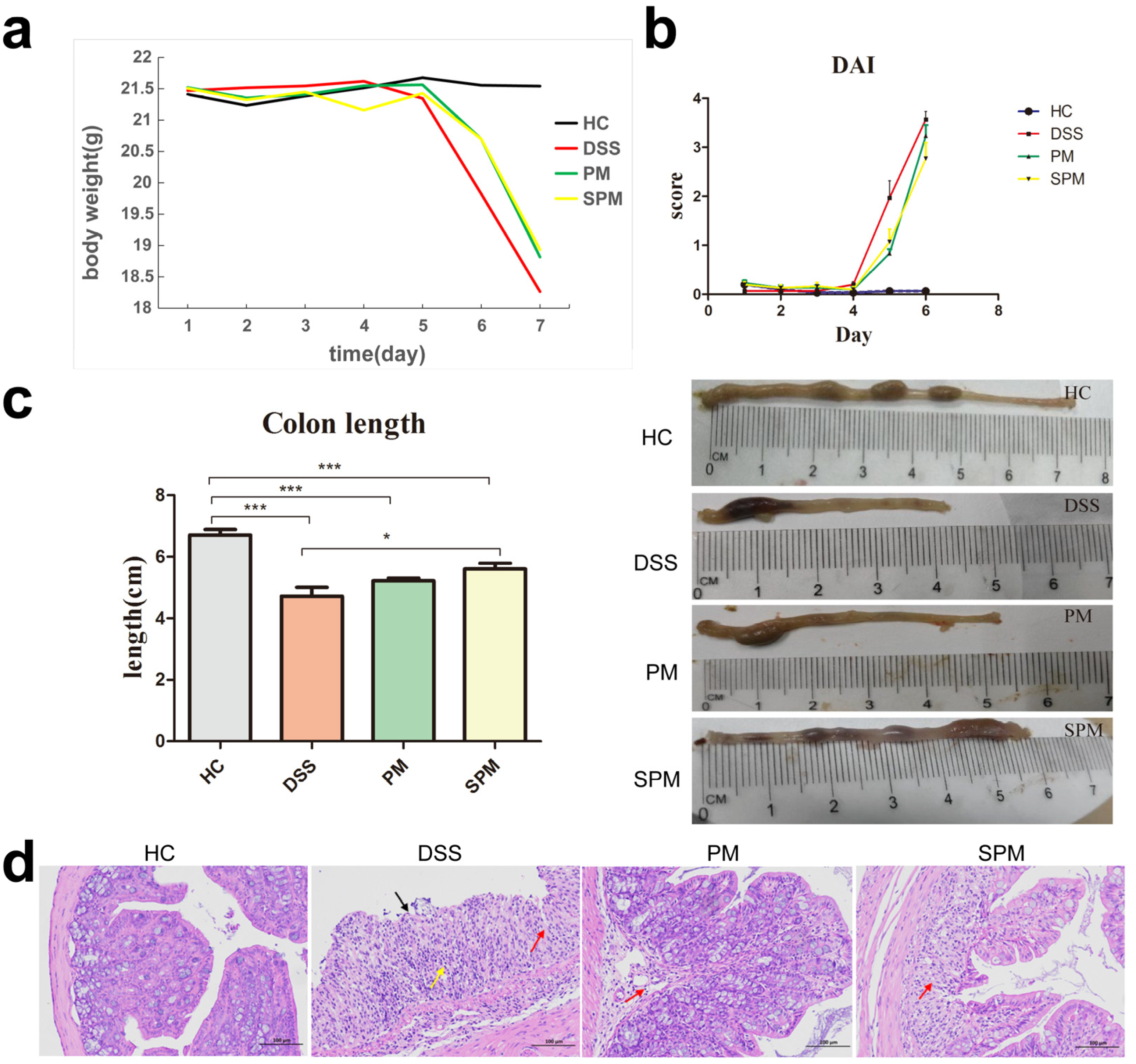 Polymers 15 01414 g002 Polymers 15 01414 g002