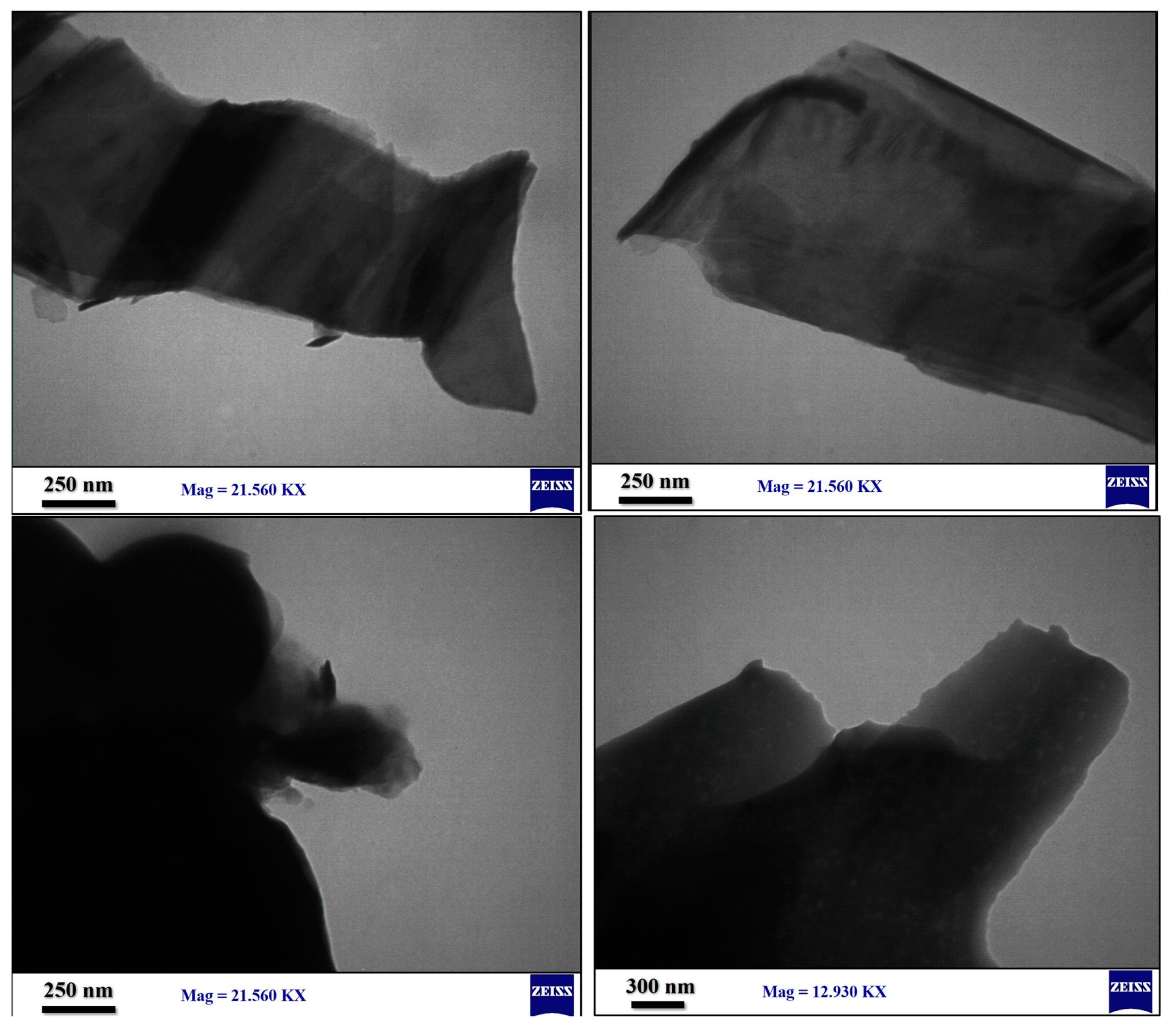 Polymers 15 01416 g006