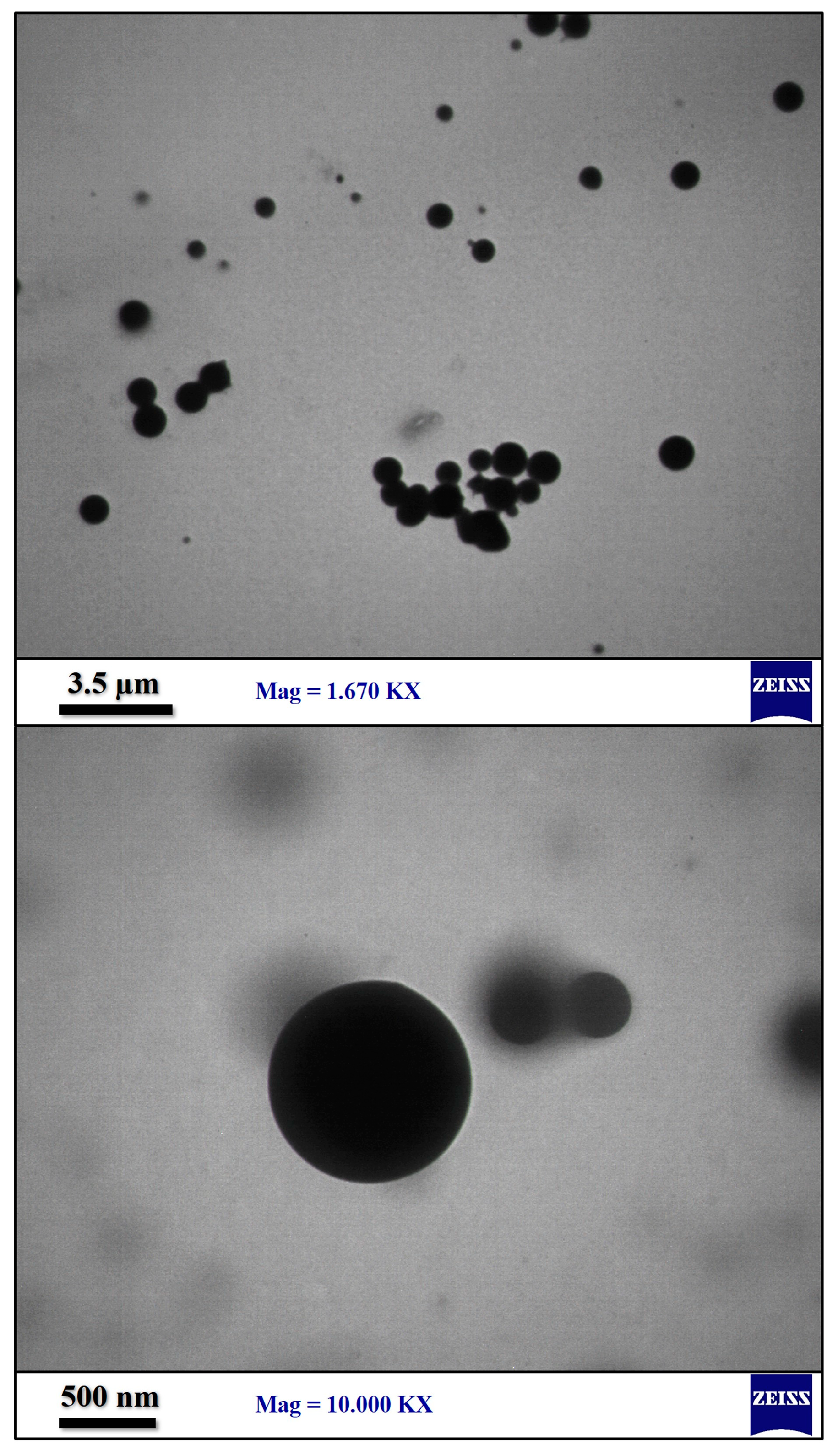 Polymers 15 01416 g007