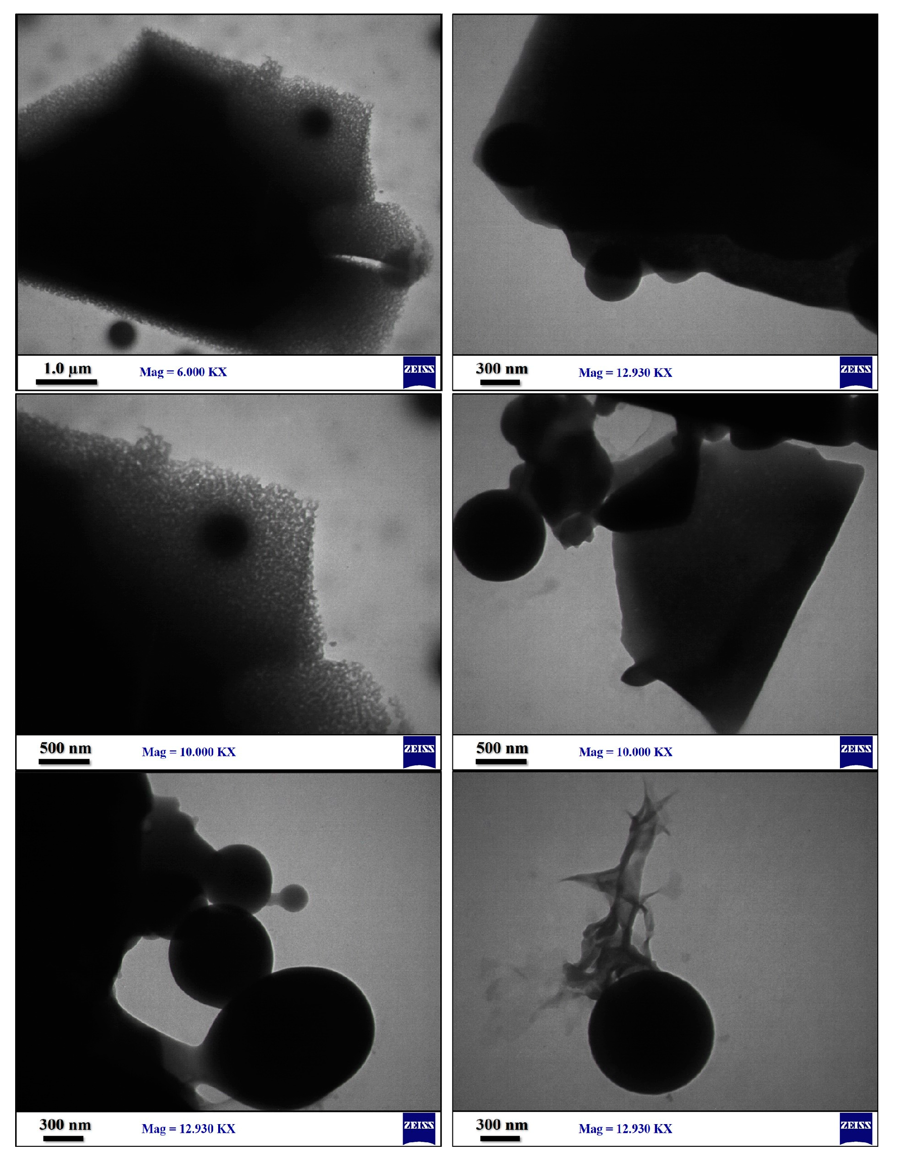 Polymers 15 01416 g008