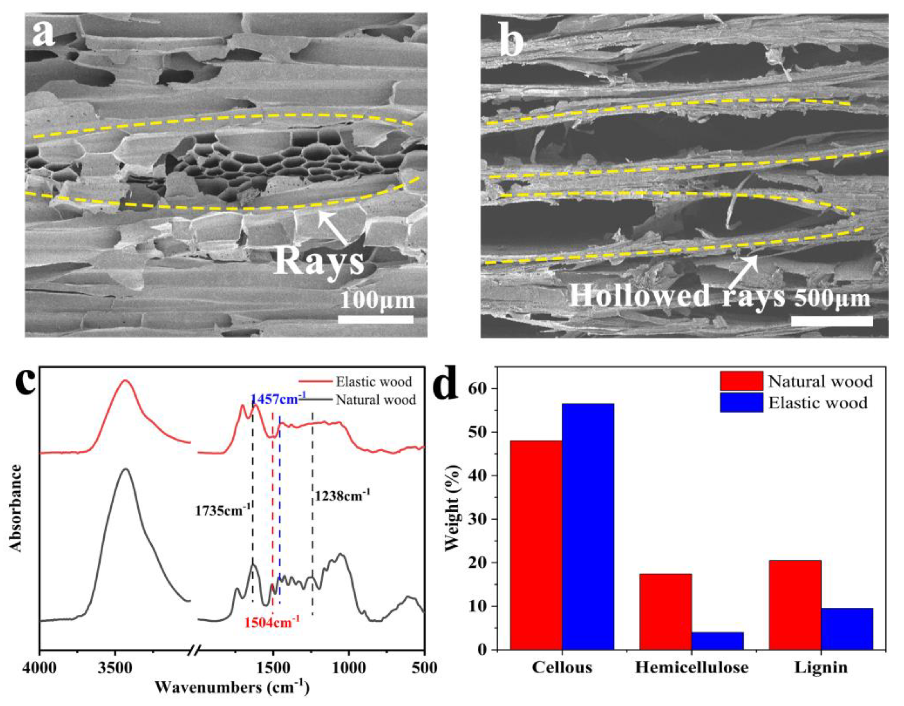 Polymers 15 01417 g001 Polymers 15 01417 g001