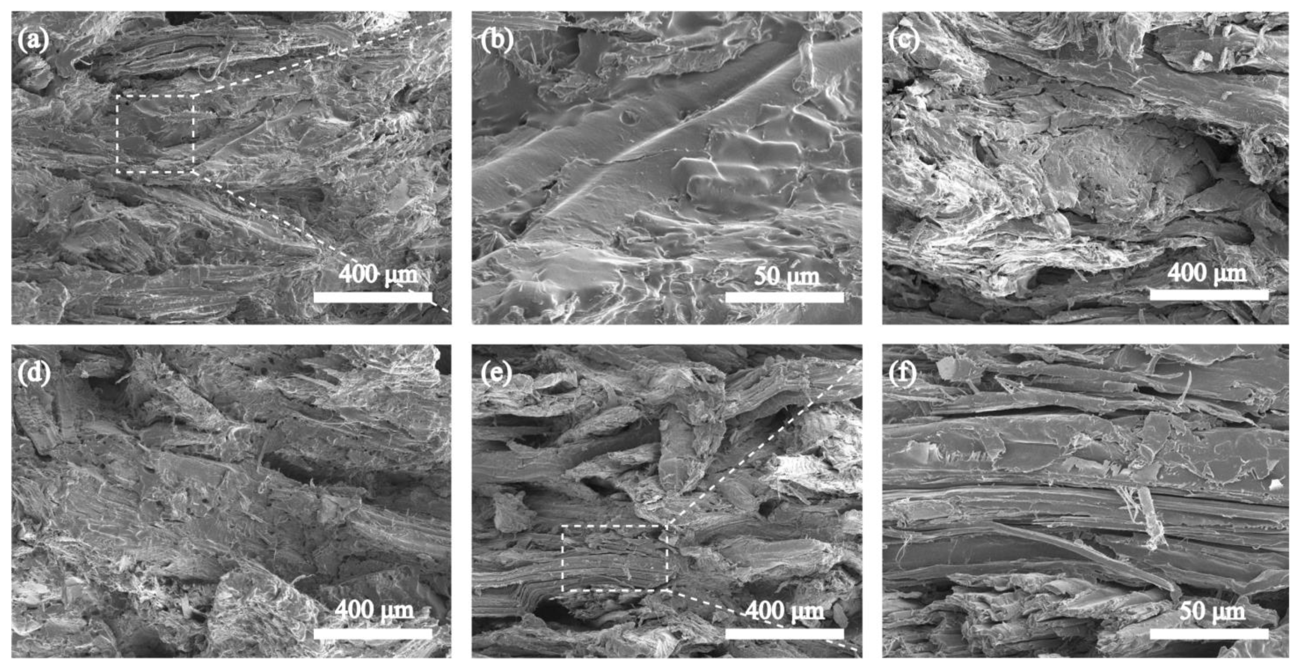 Polymers 15 01418 g006 Polymers 15 01418 g006