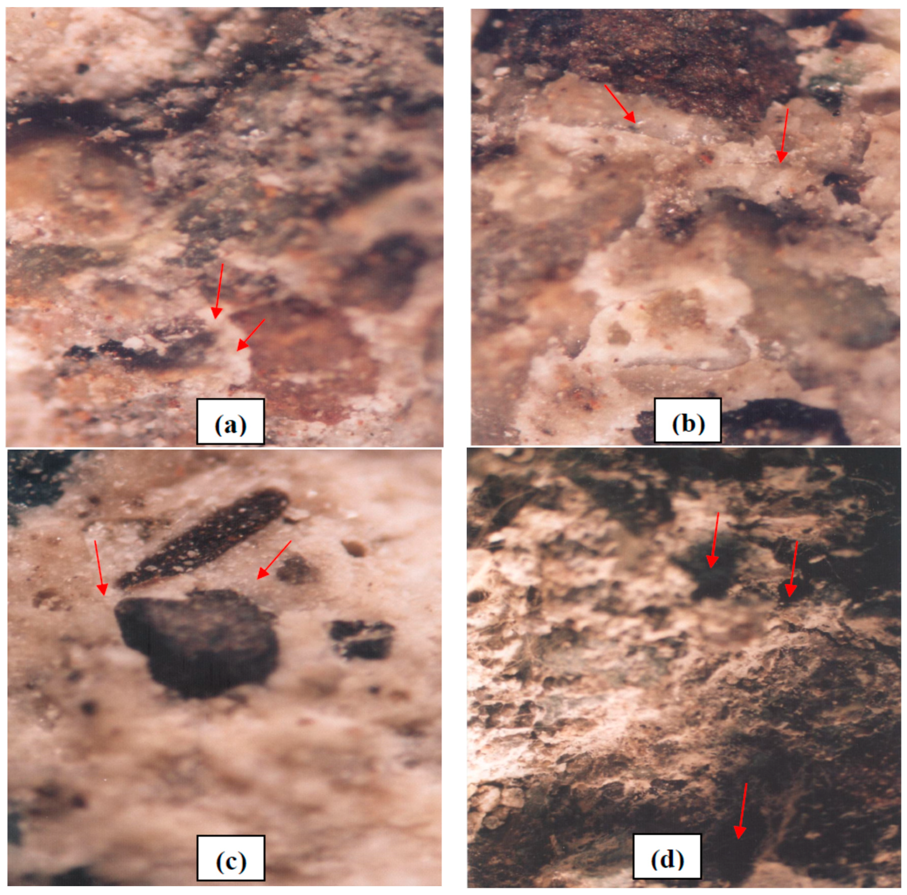 Polymers 15 01422 g011 Polymers 15 01422 g011