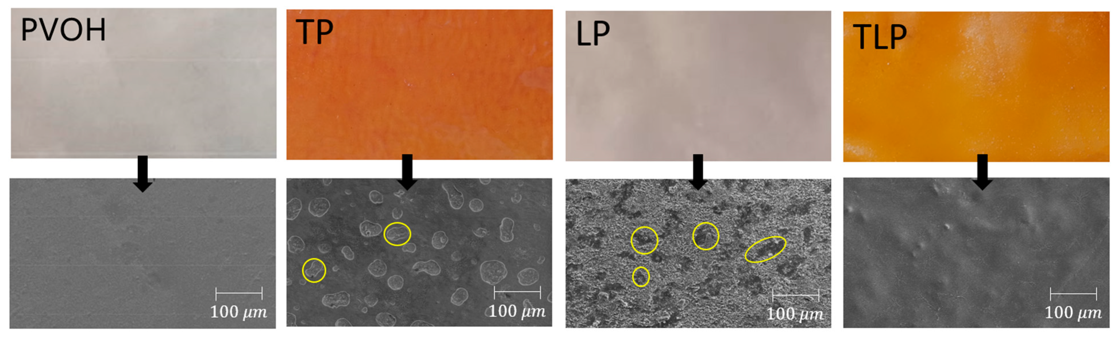 Polymers 15 01424 g003 Polymers 15 01424 g003