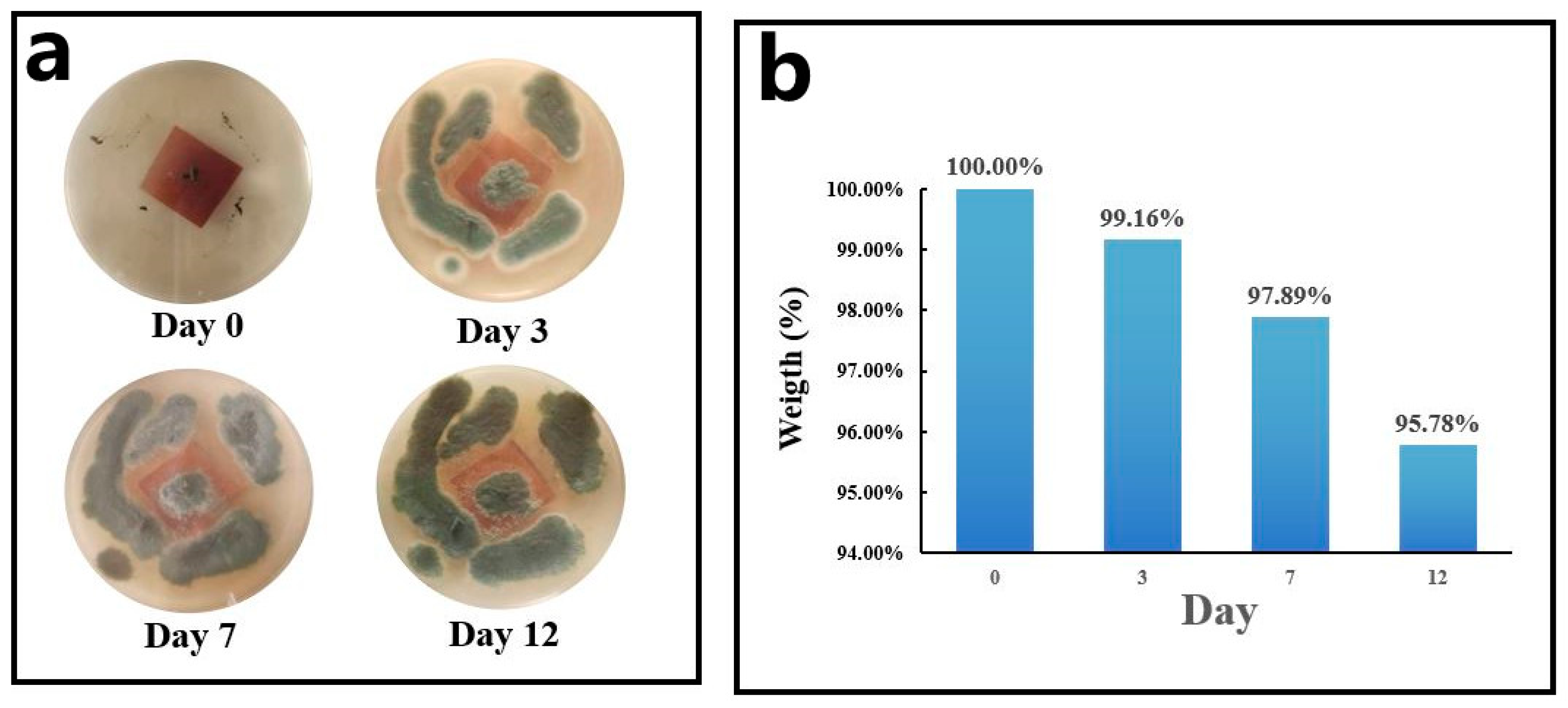 Polymers 15 01424 g008 Polymers 15 01424 g008